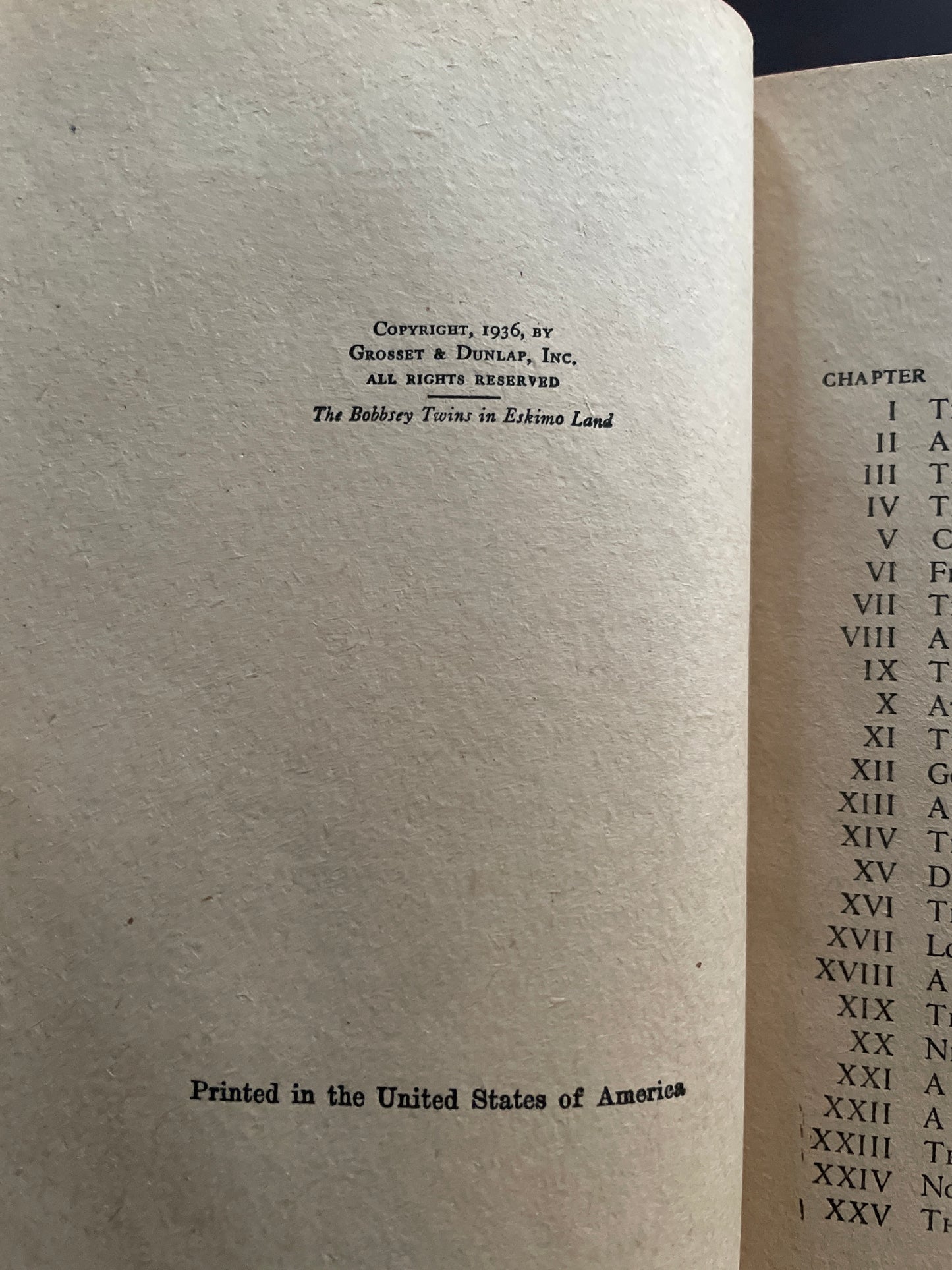 The Bobbsey Twins in Eskimo Land - Hope, Laura Lee