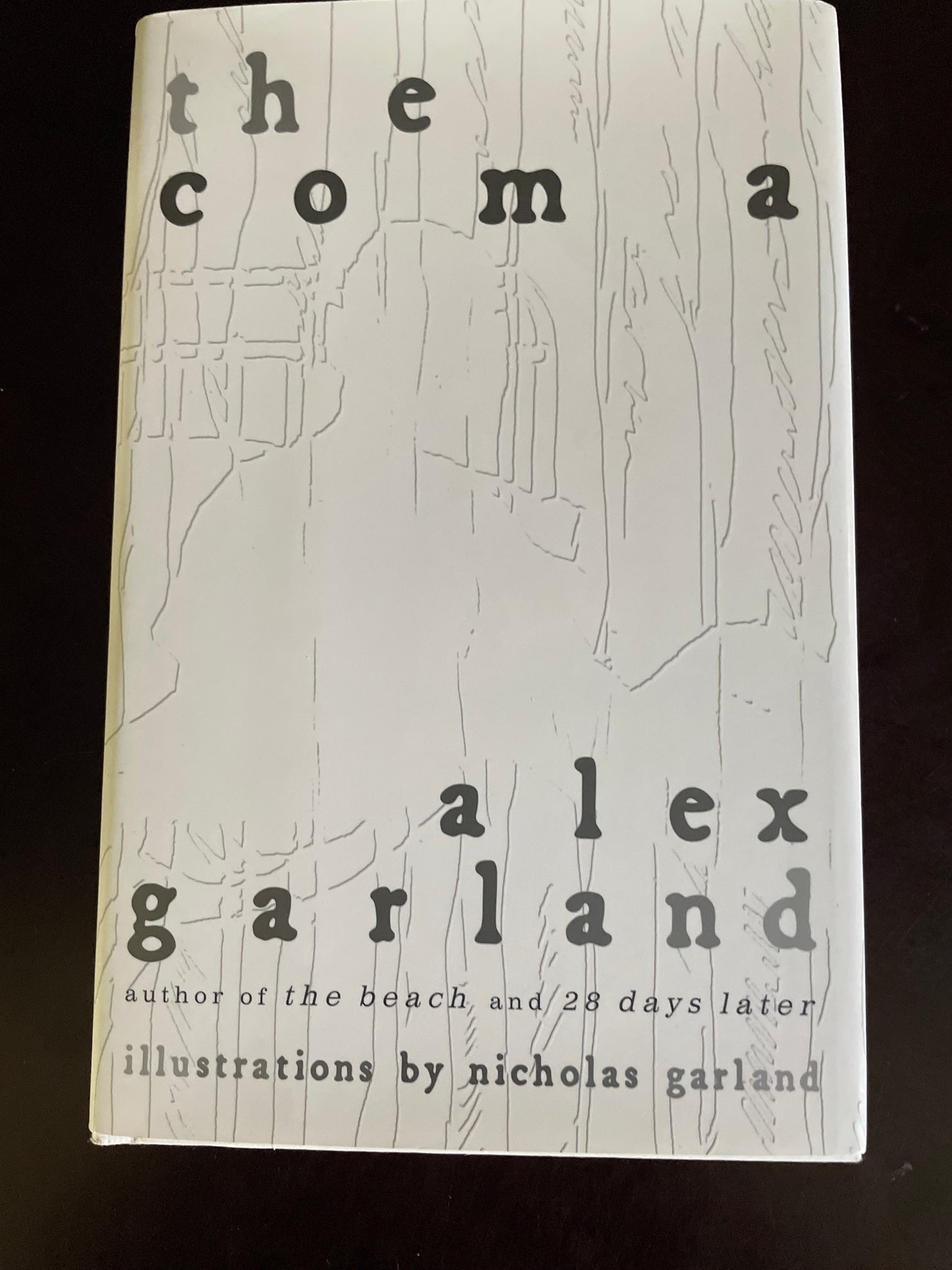 The Coma - Garland, Alex