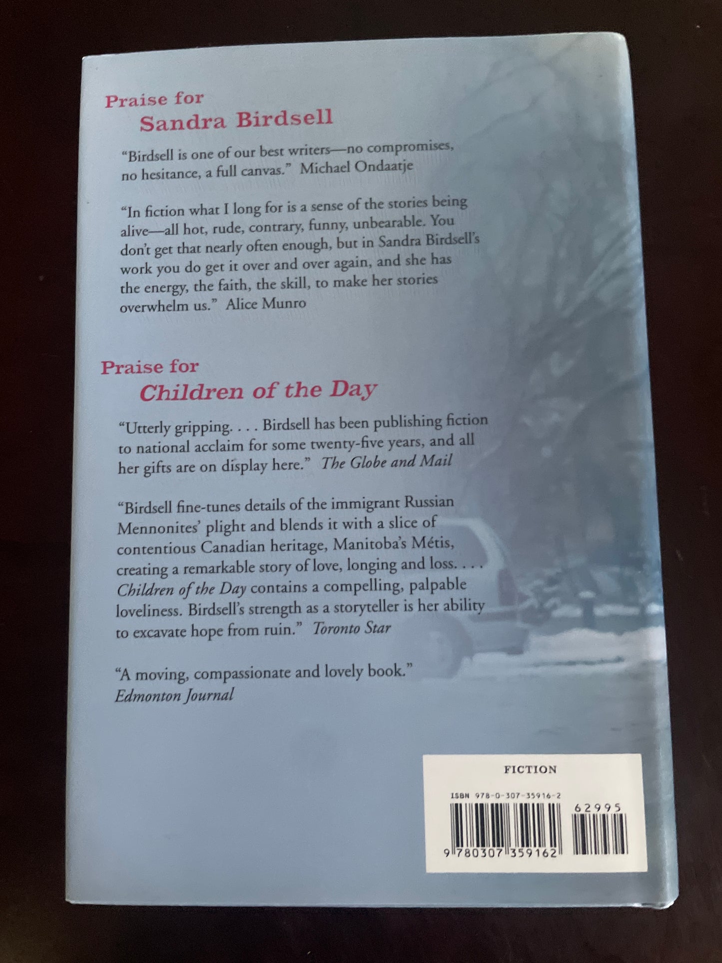 Waiting for Joe (Signed) - Birdsell, Sandra