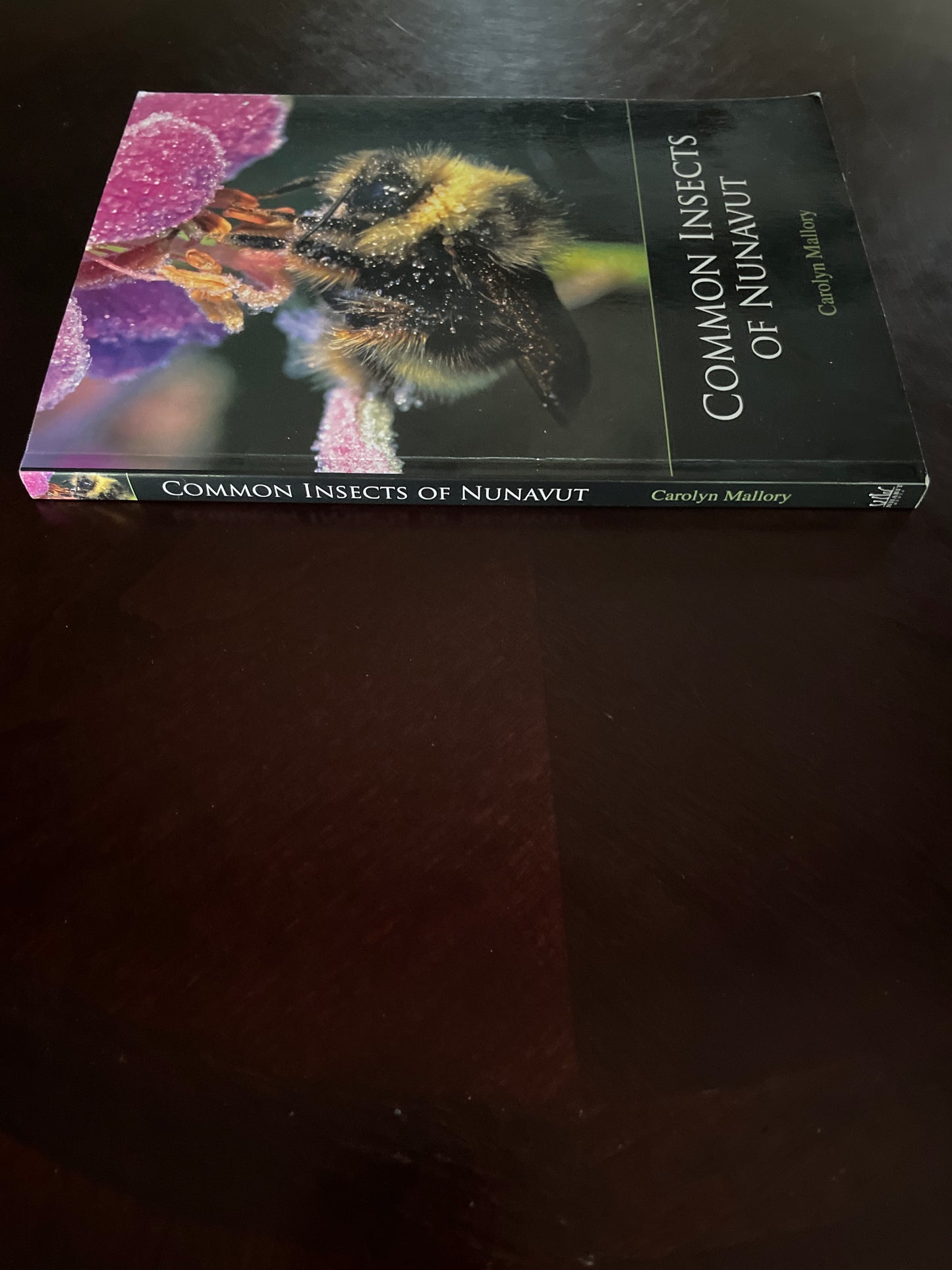 Common Insects of Nunavut - Mallory, Carolyn