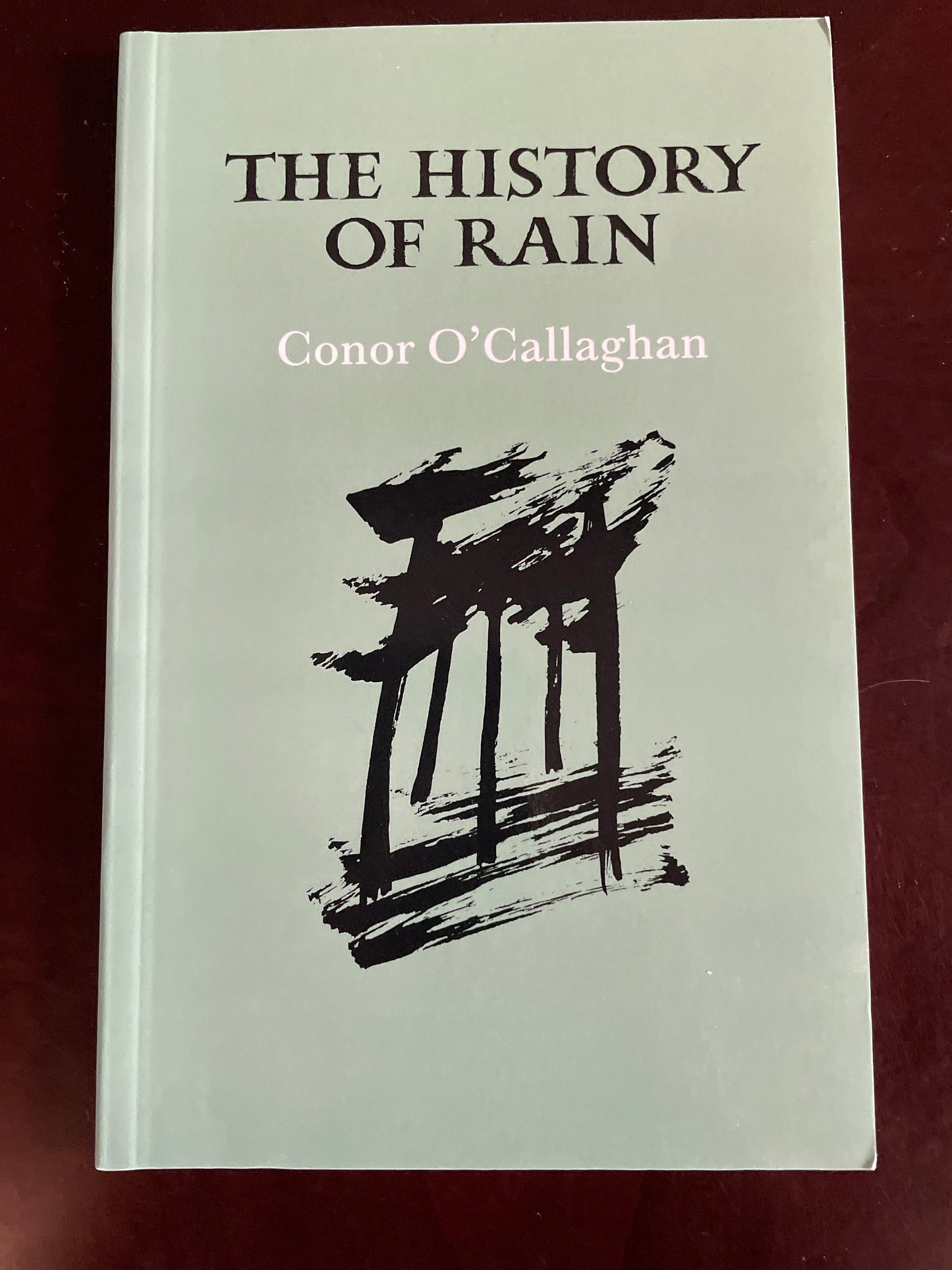 The History of Rain (Inscribed) - O'Callaghan, Conor