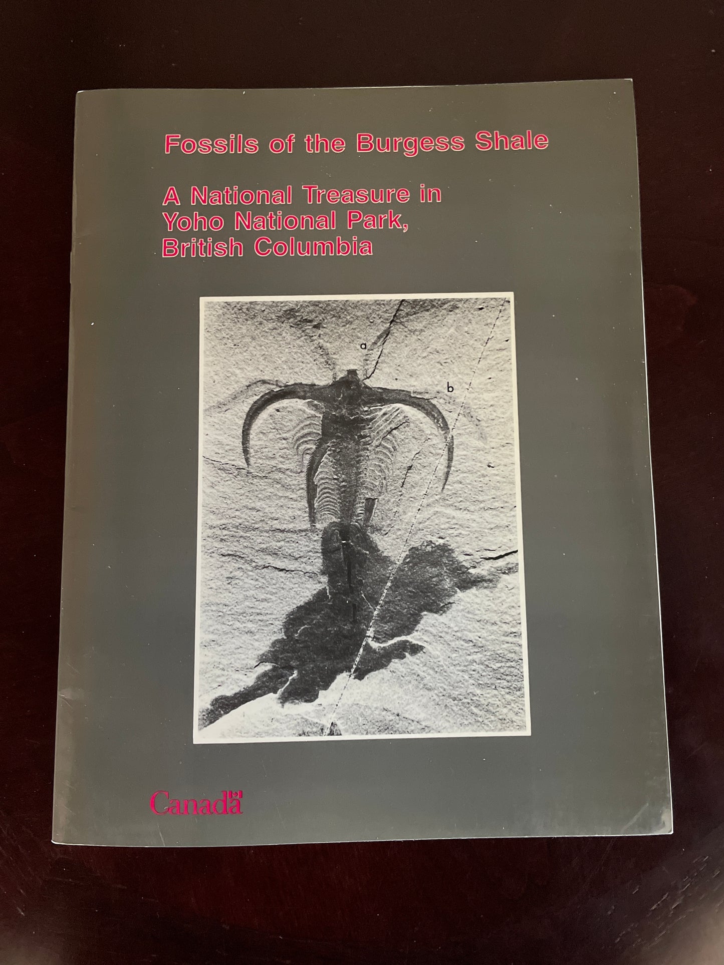 Fossils of the Burgess Shale: A national treasure in Yoho National Park, British Columbia (Geological Survey of Canada) - Morris, S. Conway; Whittington, H.B.