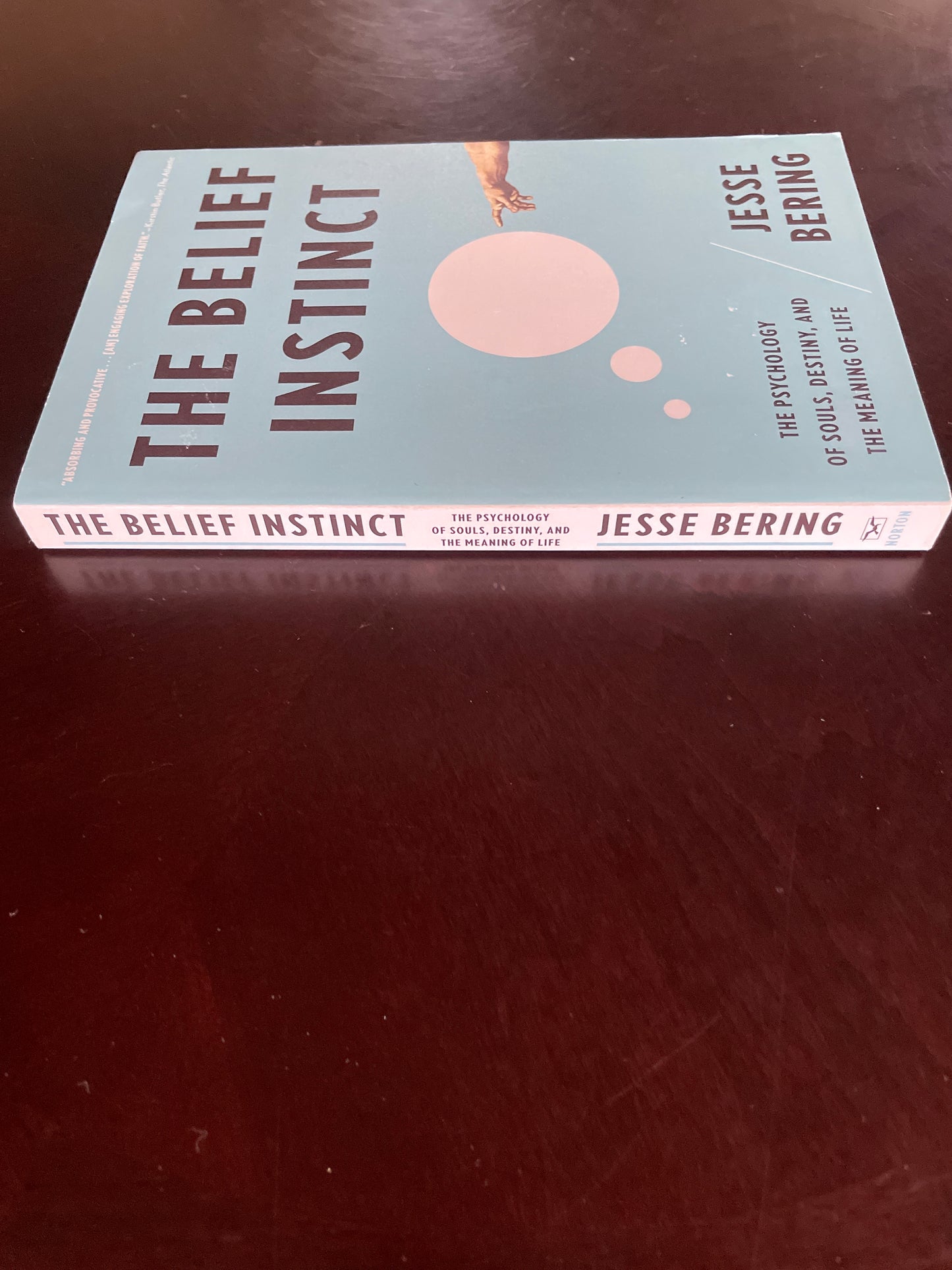 The Belief Instinct: The Psychology of Souls, Destiny, and the Meaning of Life - Bering, Jesse