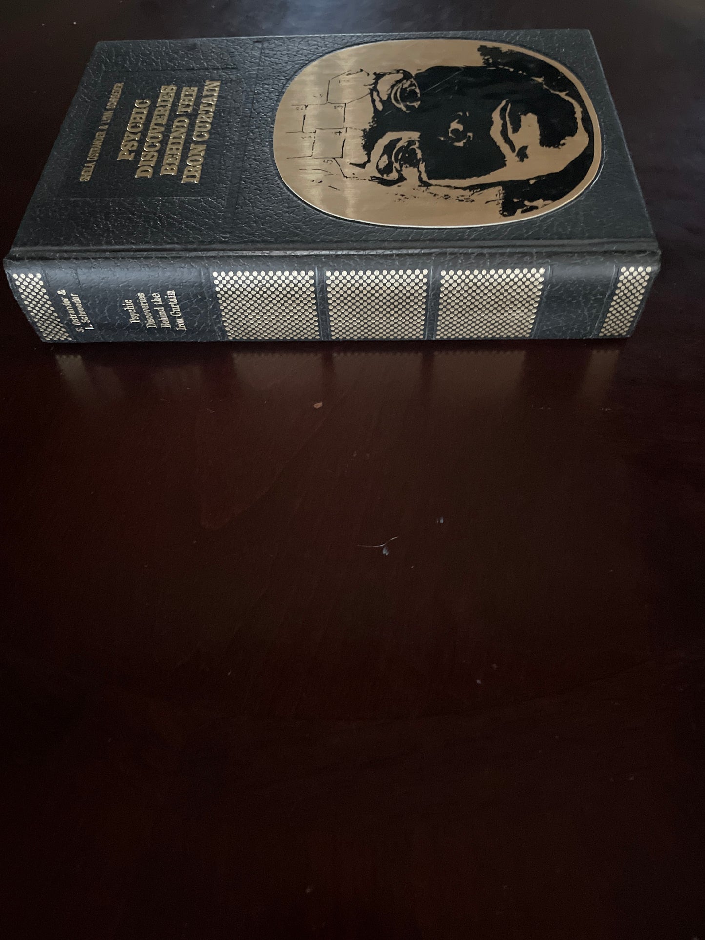 Psychic Discoveries Behind the Iron Curtain - Ostrander, Sheila; Schroeder, Lynn