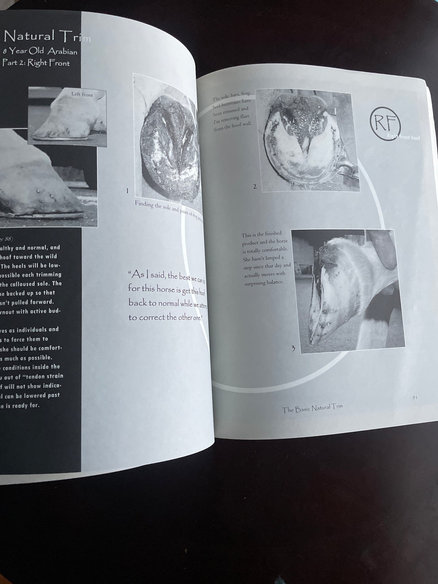 Making Natural Hoof Care Work for You: A Hands-On Manual for Natural Hoof Care All Breeds of Horses and All Equestrian Disciplines for Horse Owners, Ferriers, and Veterinarians - Ramey, Pete