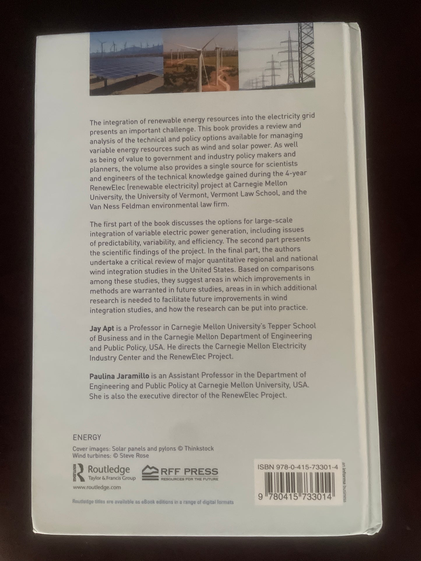 Variable Renewable Energy and the Electricity Grid - Apt, Jay; Jaramillo, Paulina