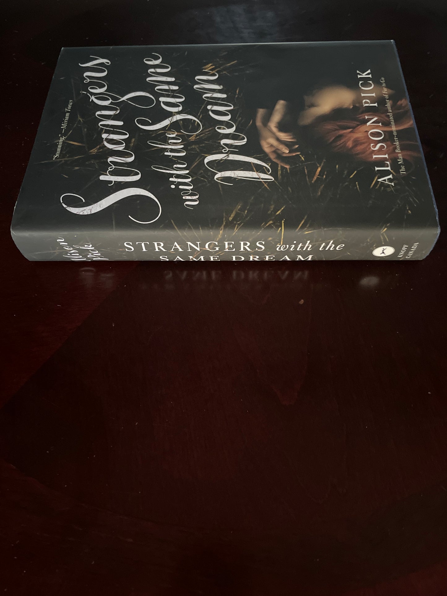 Strangers with the Same Dream (Signed) - Pick, Alison