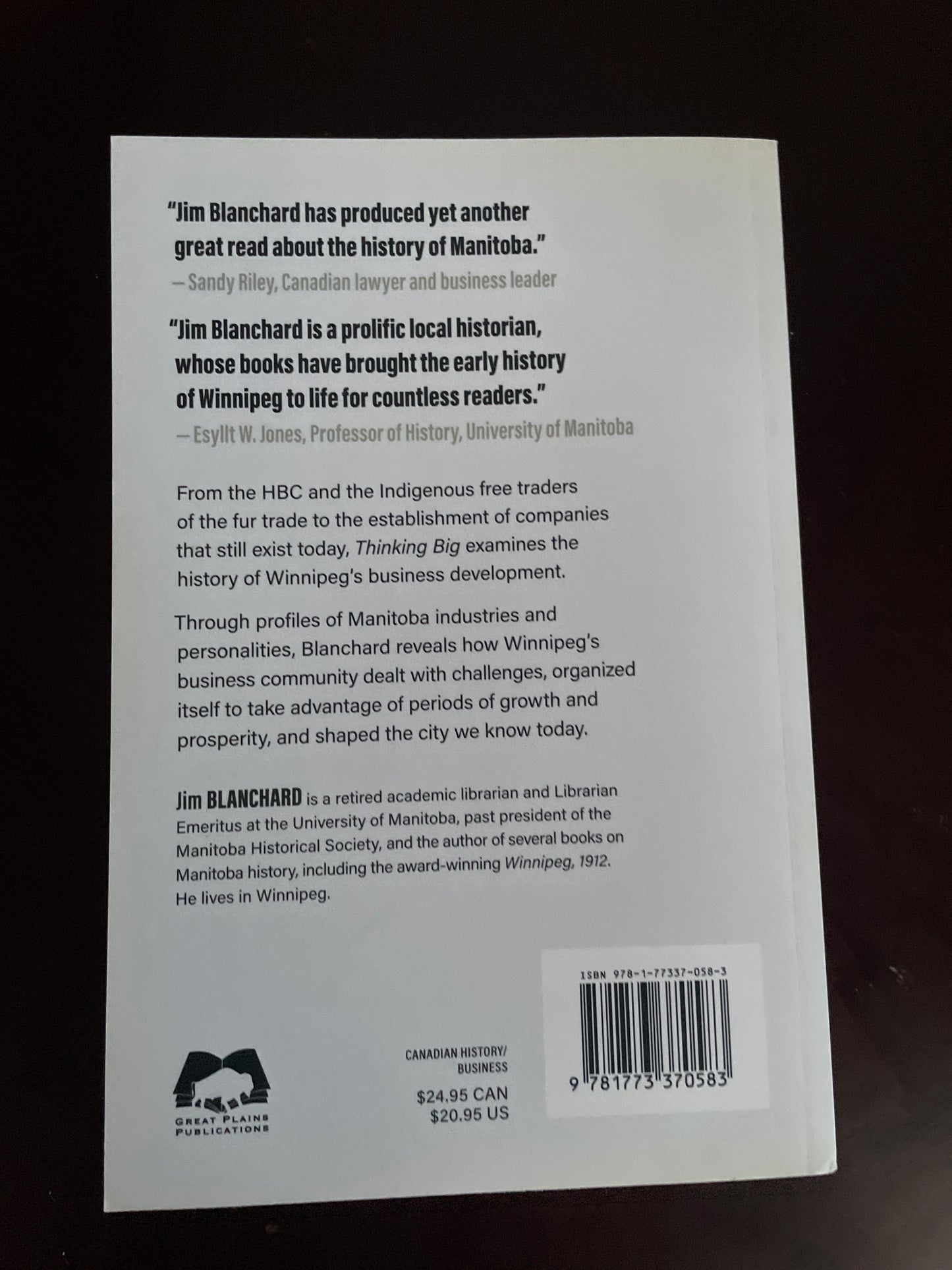 Thinking Big: A History of the Winnipeg Business Community to the Second World War - Blanchard, Jim