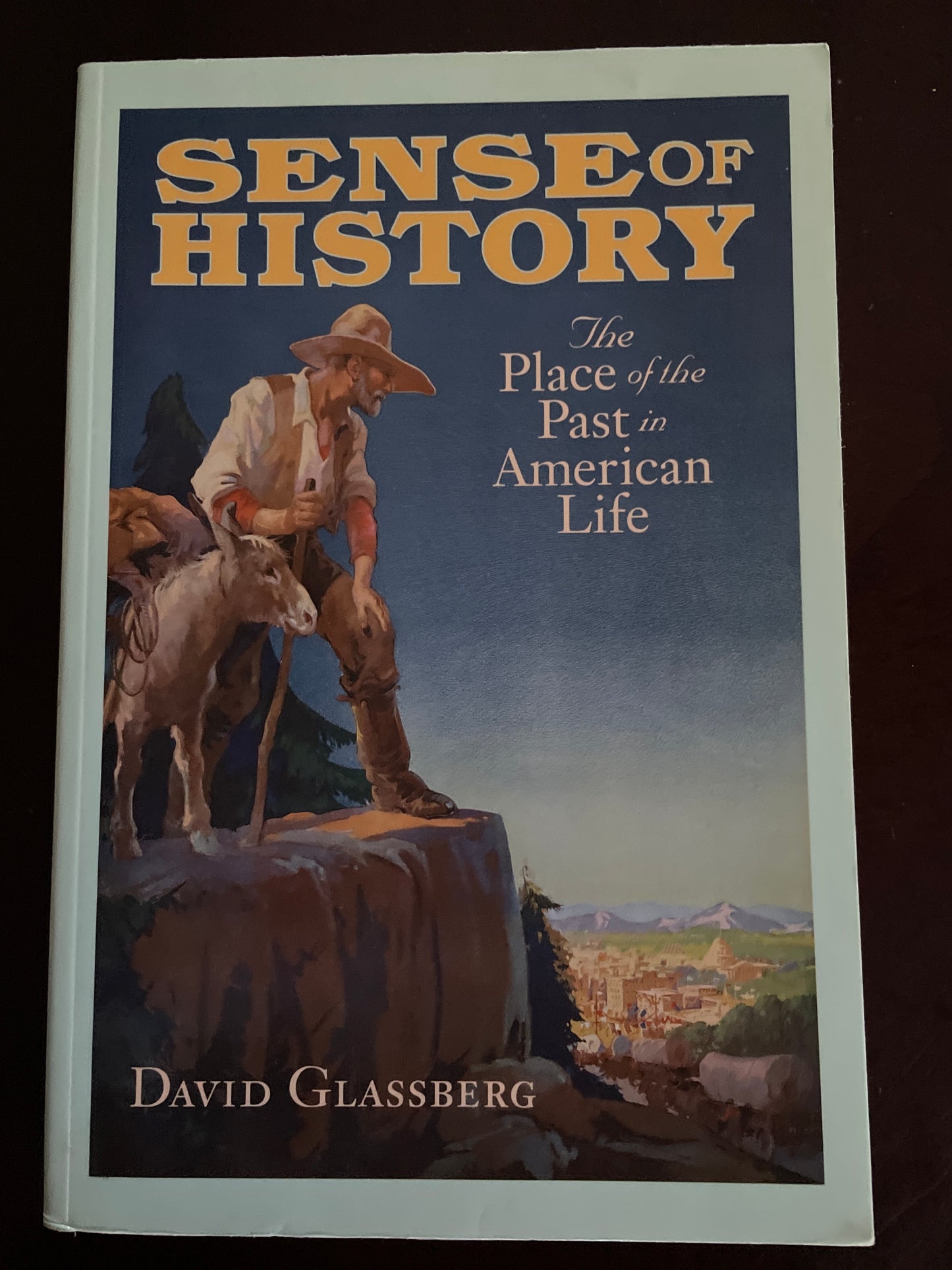 Sense of History: The Place of the Past in American Life - Glassberg, David