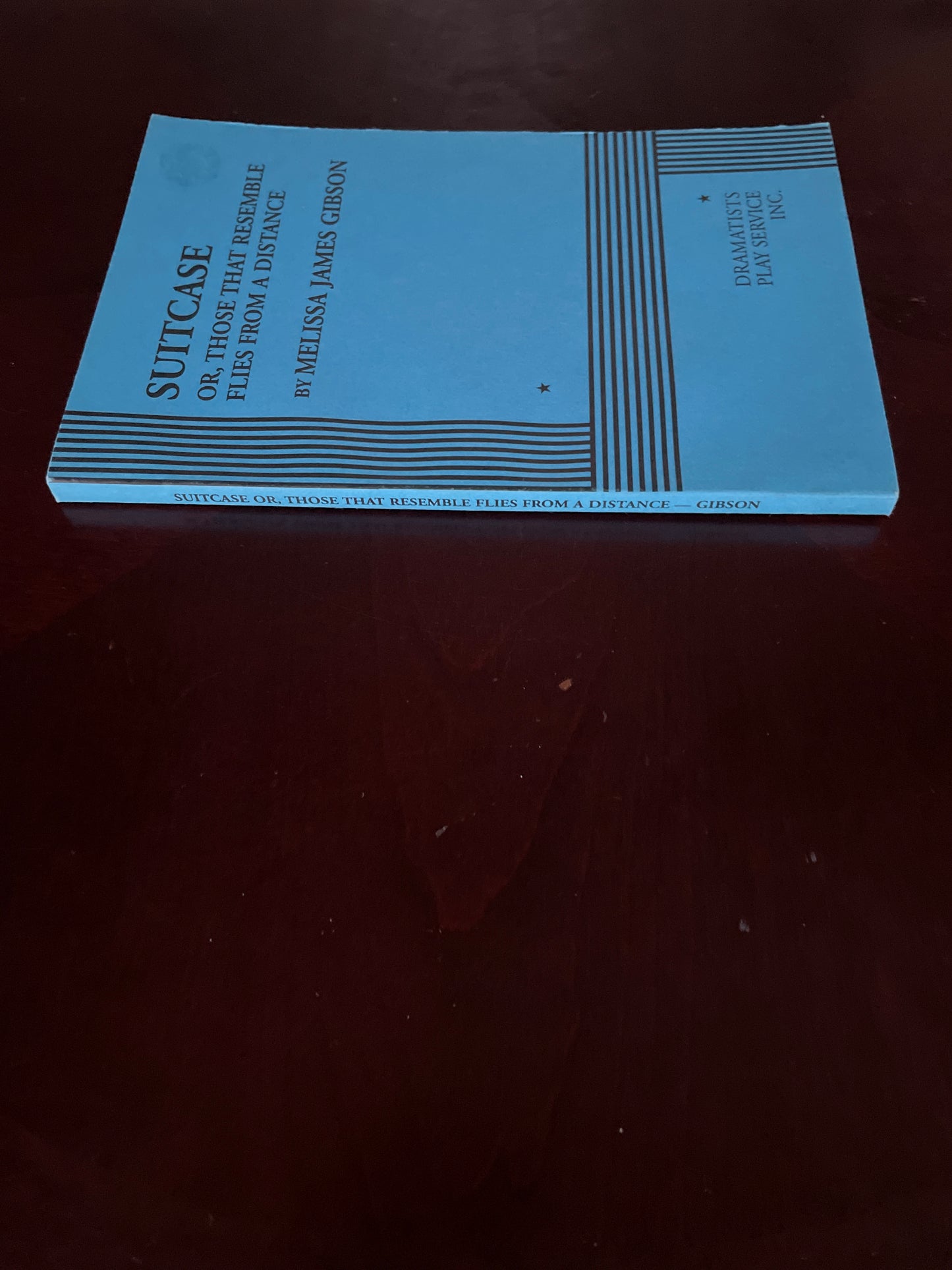 Suitcase, Or Those That Resemble Flies From A Distance (Signed) - Gibson, Melissa James