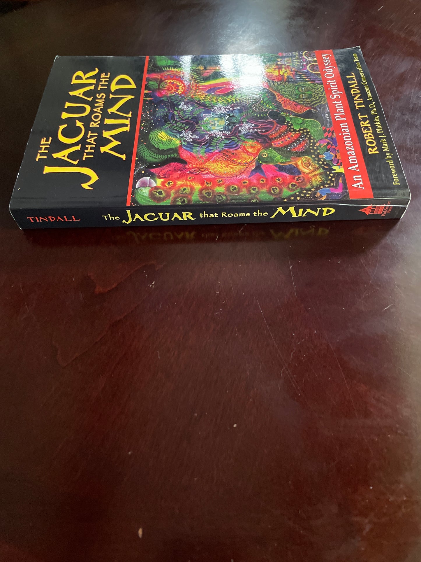 The Jaguar that Roams the Mind: An Amazonian Plant Spirit Odyssey - Tindall, Robert