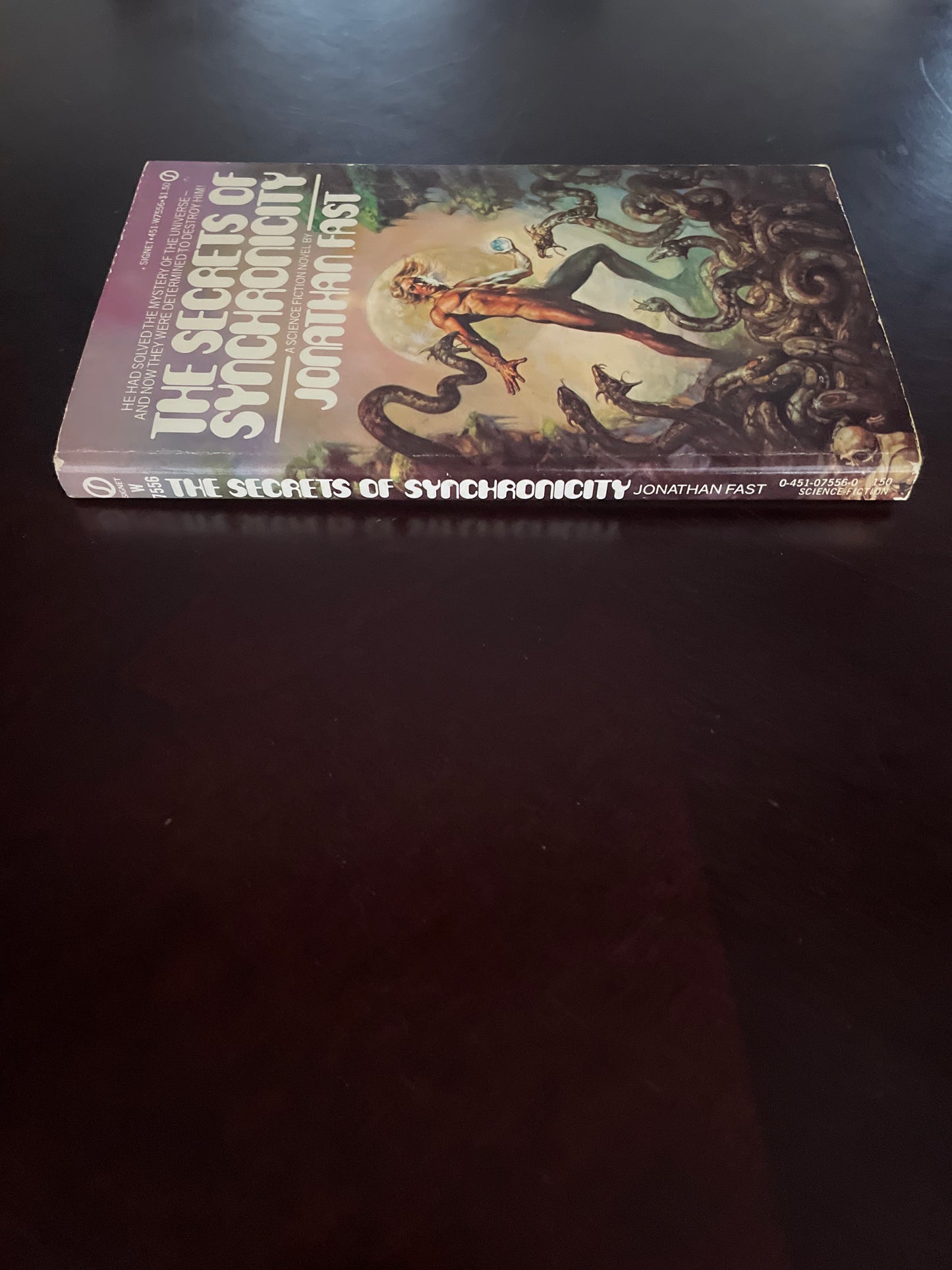 The Secrets of Synchronicity - Fast, Jonathan