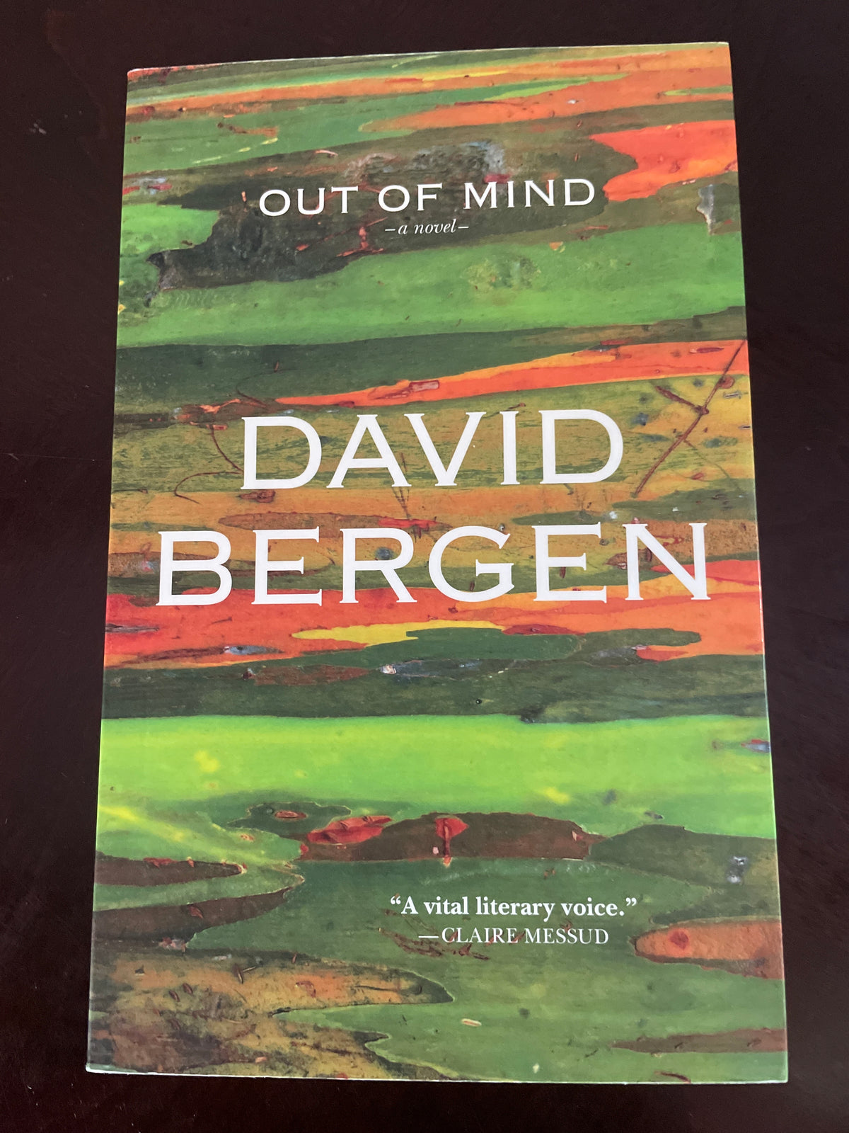 Out of Mind - Bergen, David