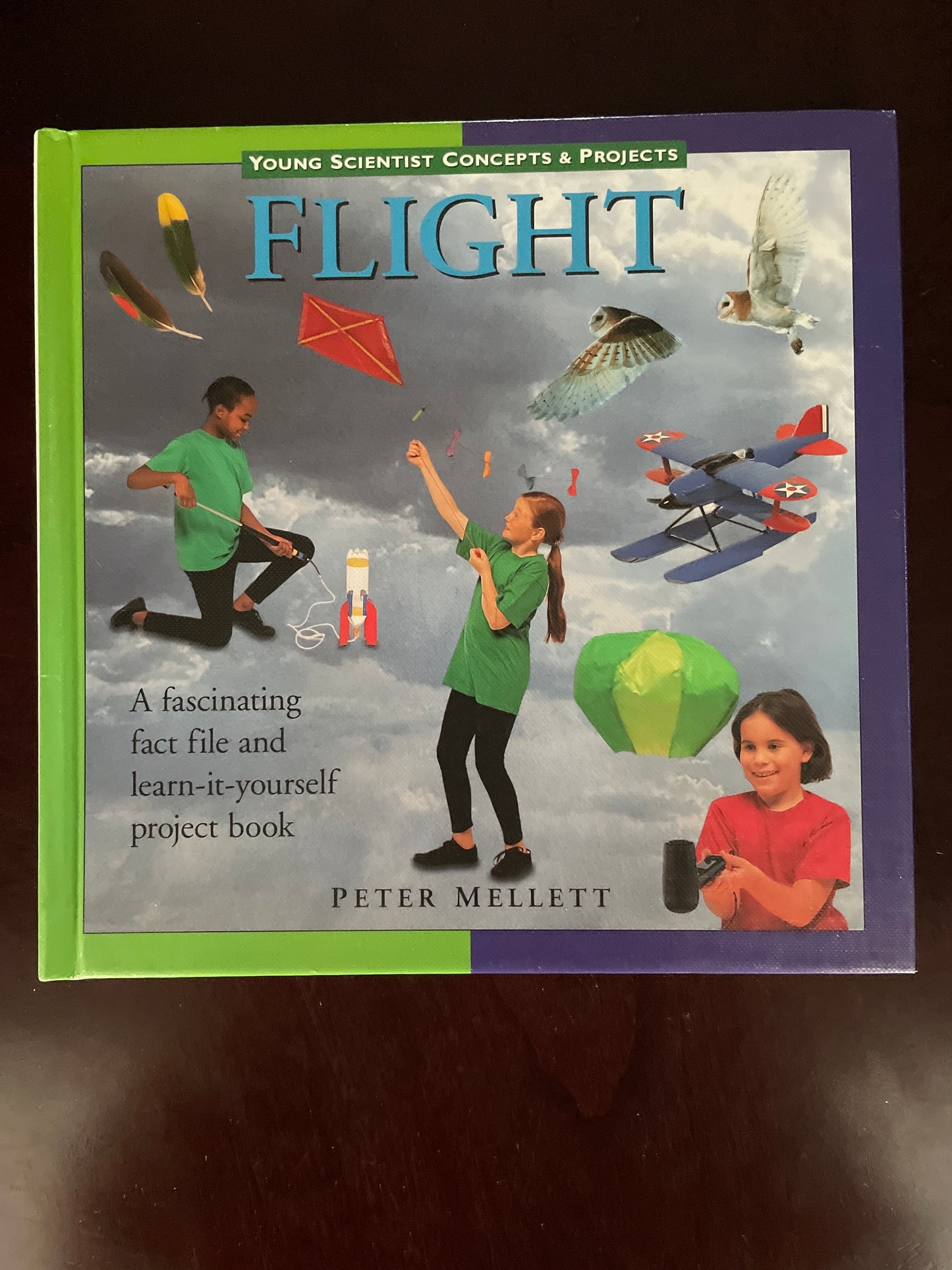 Flight (Young Scientist Concepts & Projects) - Mellett, Peter