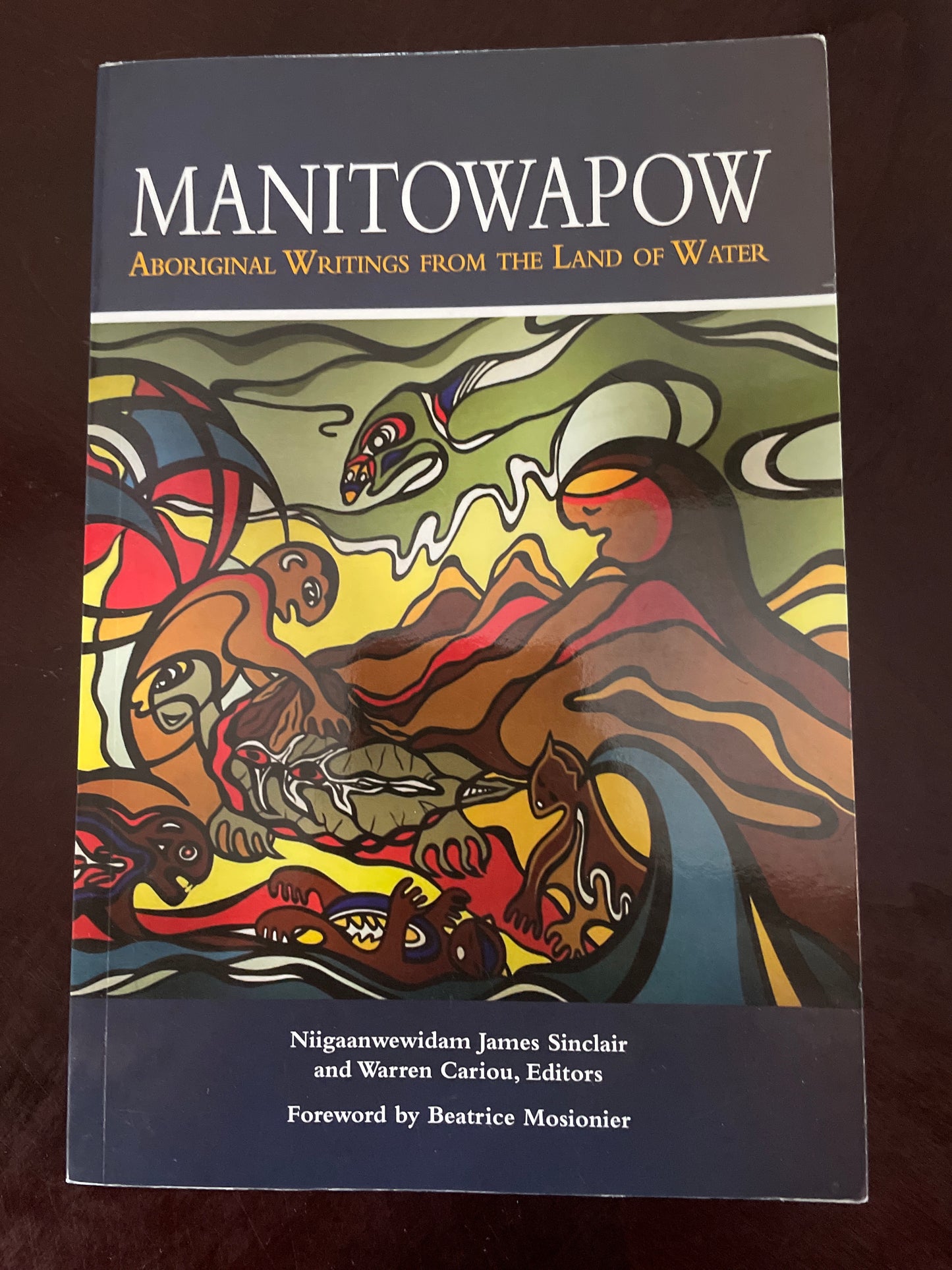 Manitowapow : Aboriginal Writings from the Land of Water - Sinclair, Niigaanwewidam James; Cariou, Warren