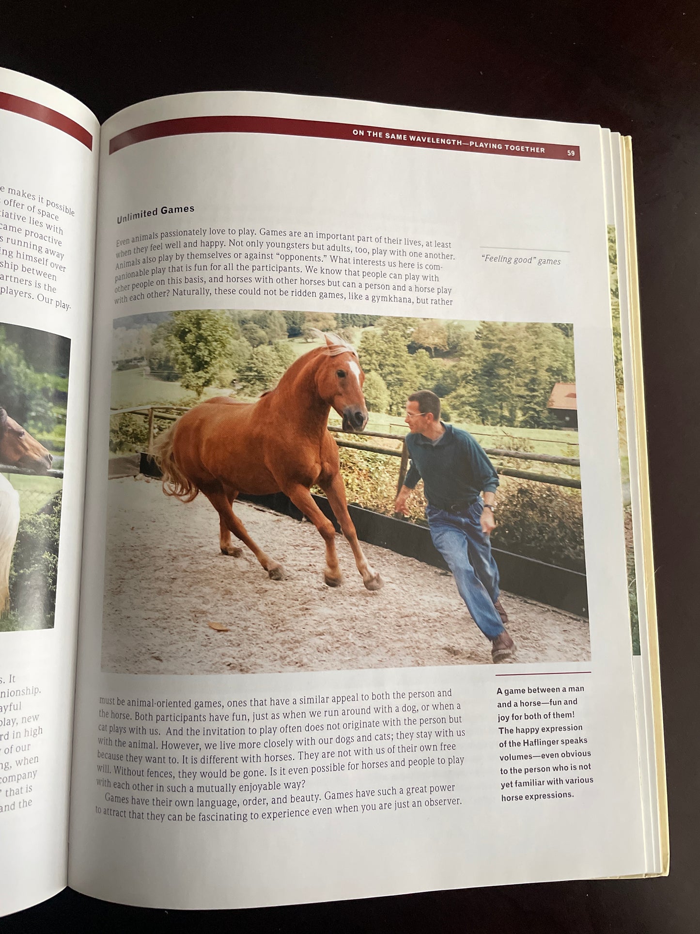 Empowered Horses: Learning Their Way Through Independence, Self-Confidence, and Creative Play - Spilker, Imke