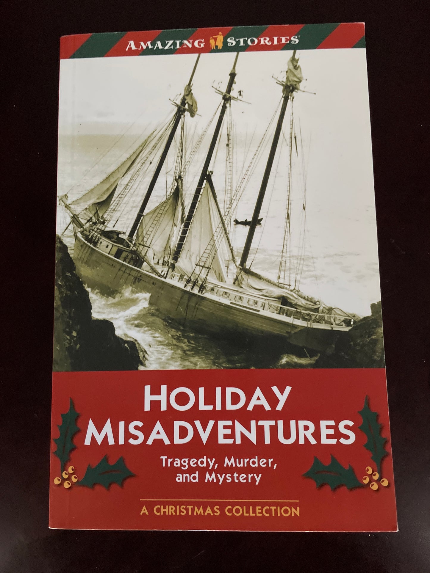 Holiday Misadventures: Tragedy, Murder and Mystery - Glasner, Joyce; Bertin, Johanna; Hind, Andrew; Da Silva, Maria; Mole, Rich