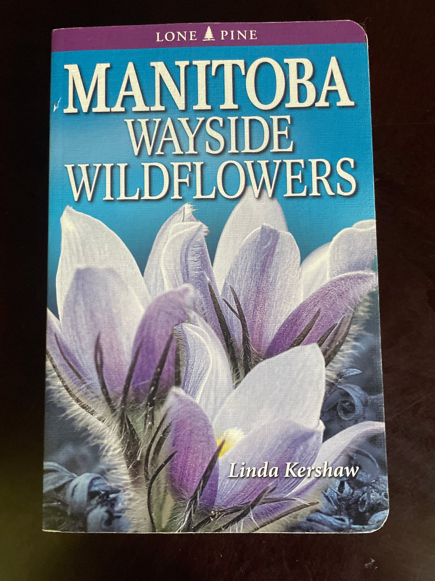 Manitoba Wayside Wildflowers - Kershaw, Linda