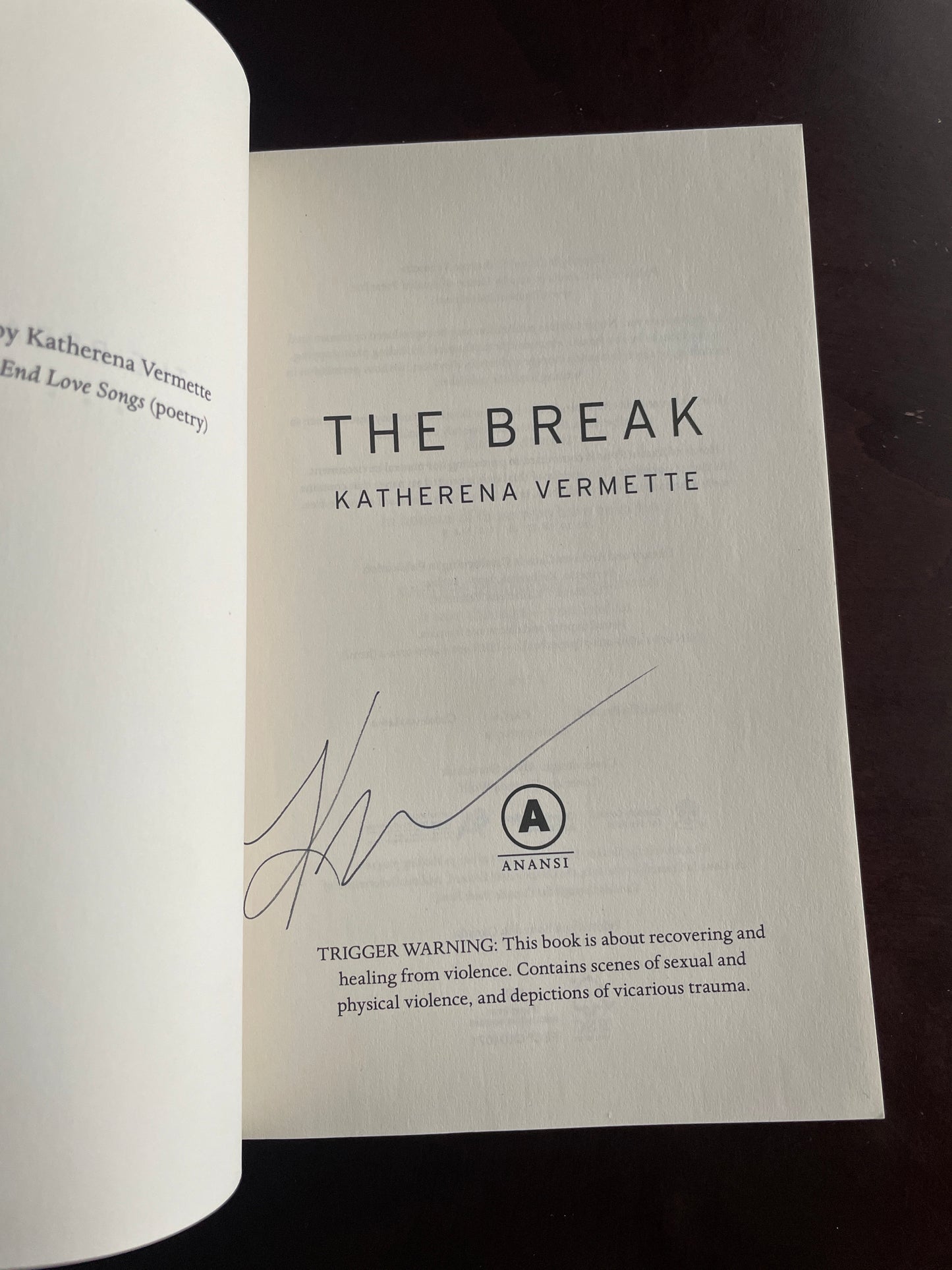 The Break (Signed) - Vermette, Katherena