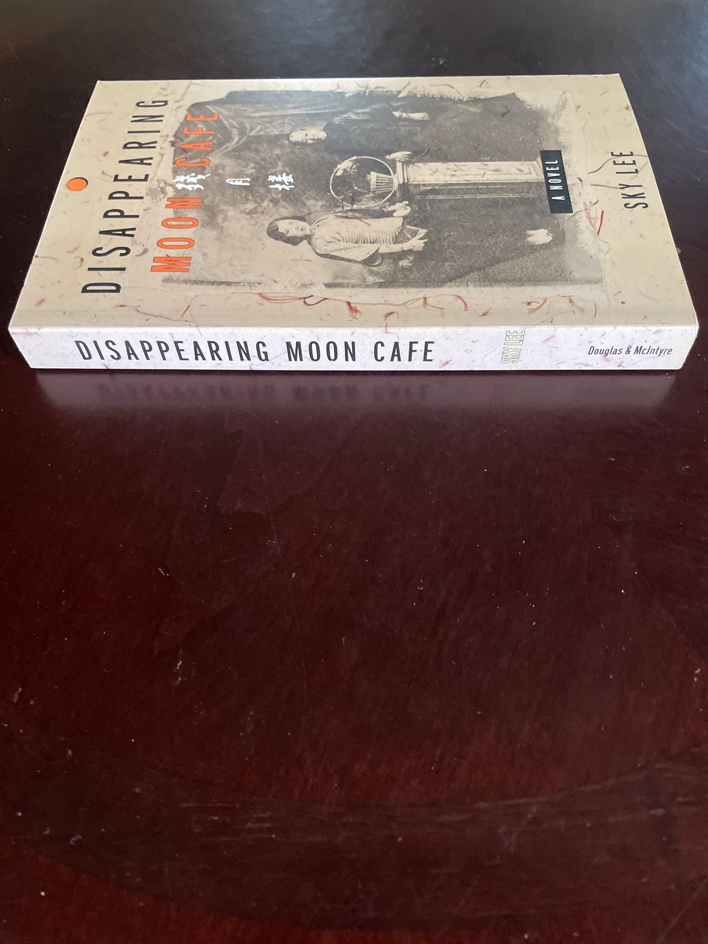 Disappearing Moon Cafe - Lee, Sky