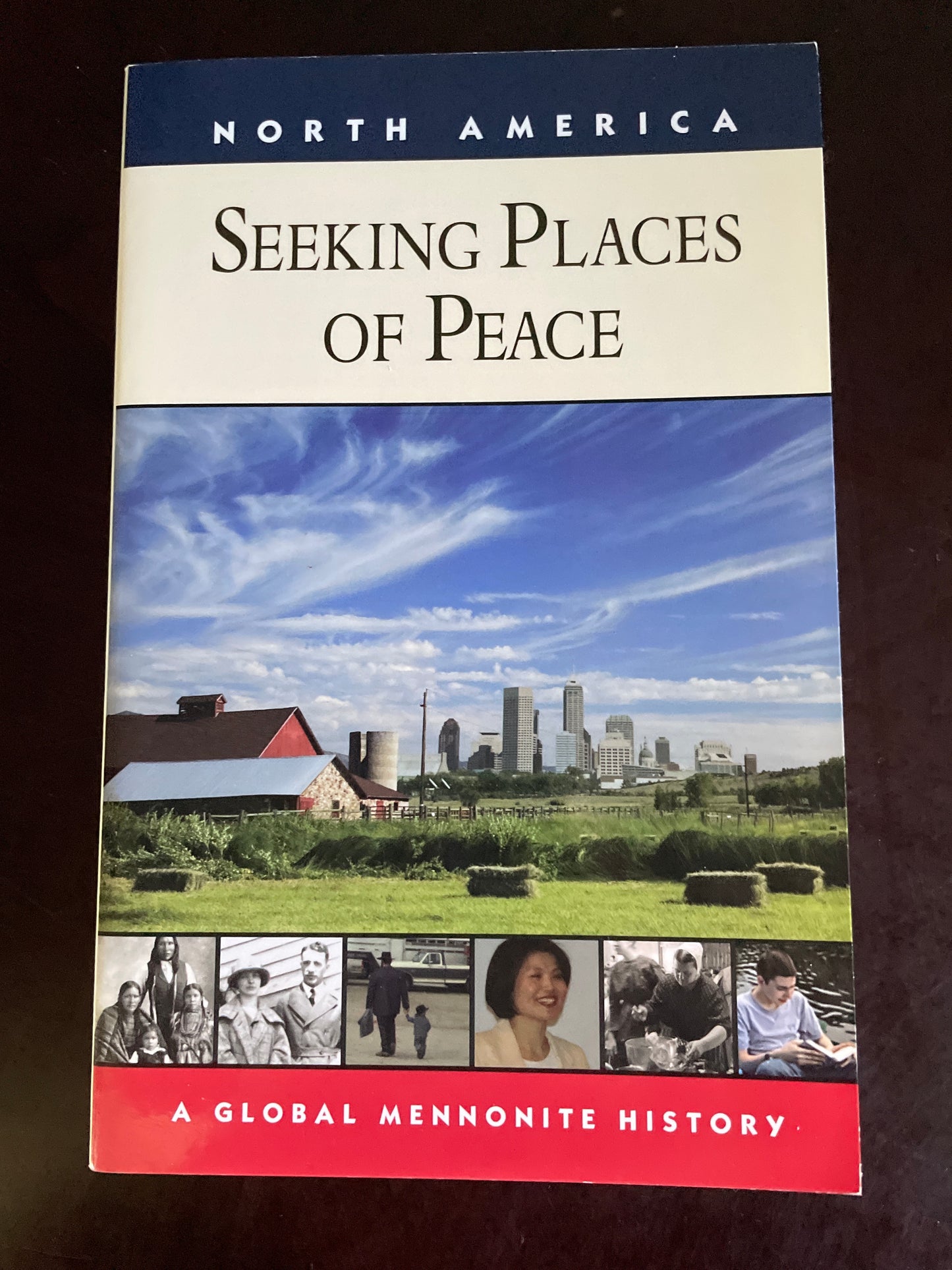 Seeking Places of Peace: A Global Mennonite History - Loewen, Royden; Nolt, Steve M.