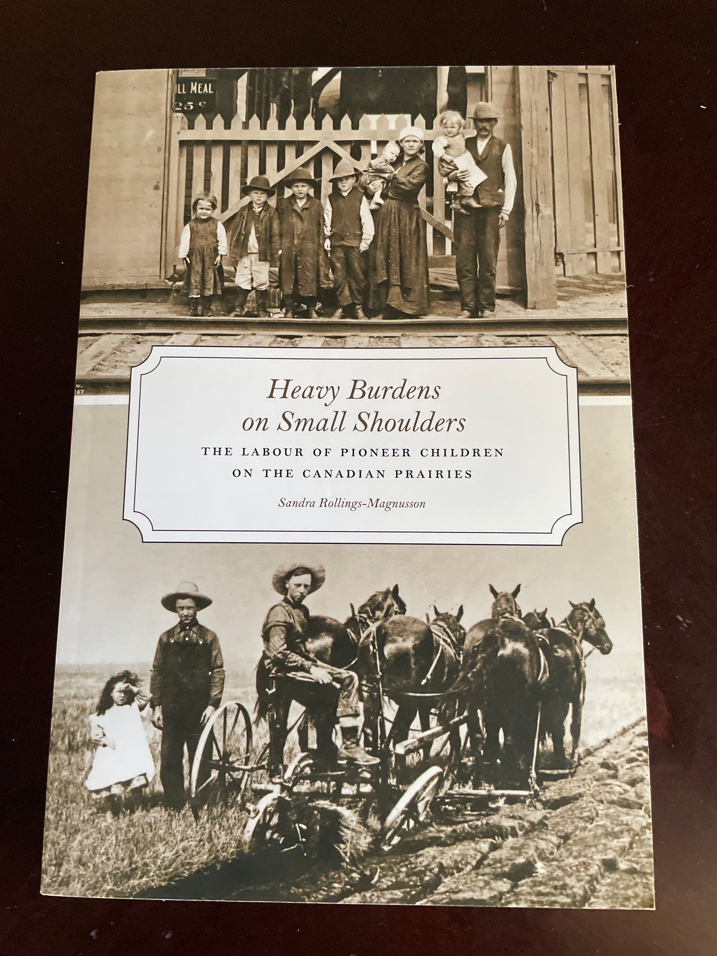 Heavy Burdens on Small Shoulders: The Labour of Pioneer Children on the Canadian Prairies - Rollings-Magnusson, Sandra