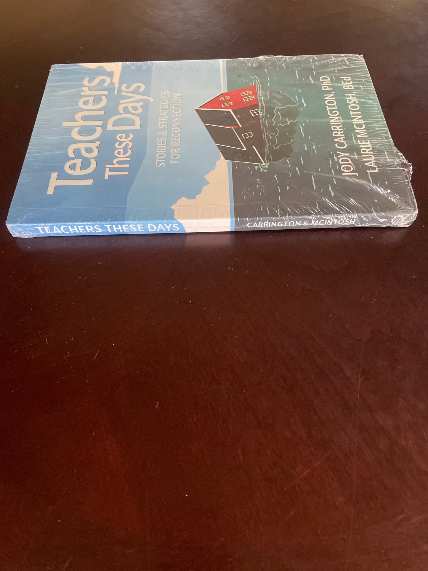 Teachers These Days: Stories and Strategies for Reconnection - Carrington, Dr. Jody; McIntosh, Laurie