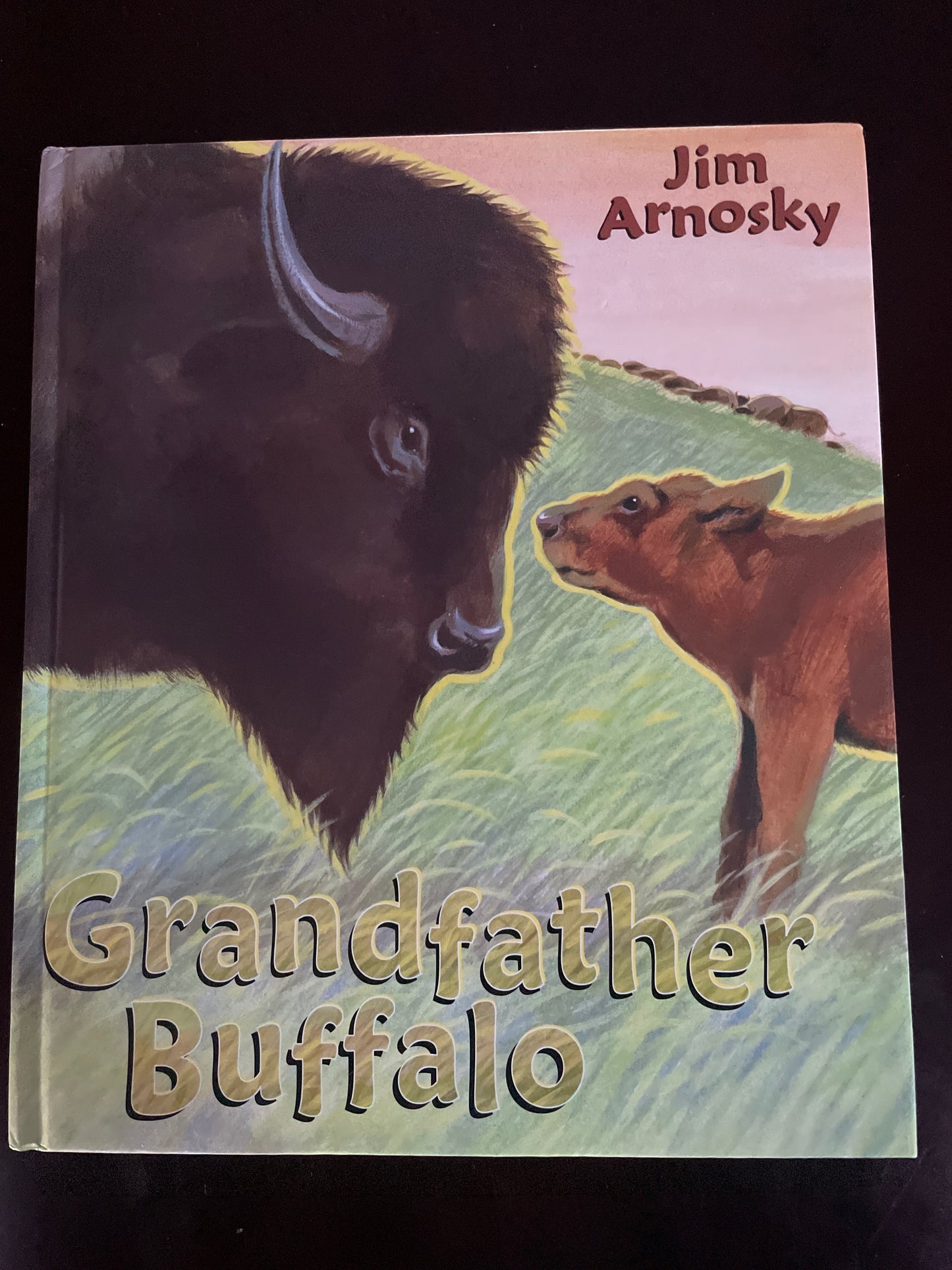 Grandfather Buffalo - Arnosky, Jim