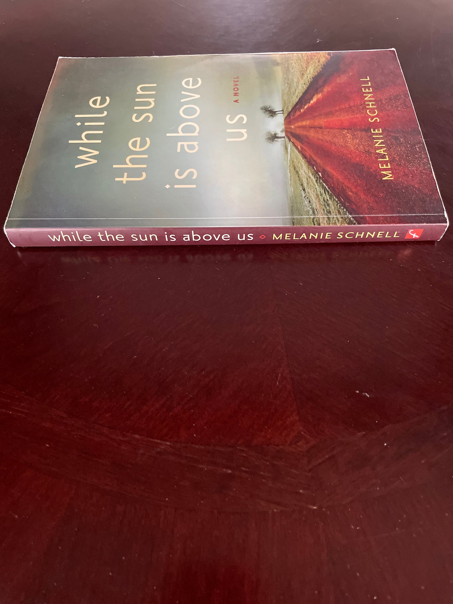 While the Sun Is Above Us (Inscribed) - Schnell, Melanie