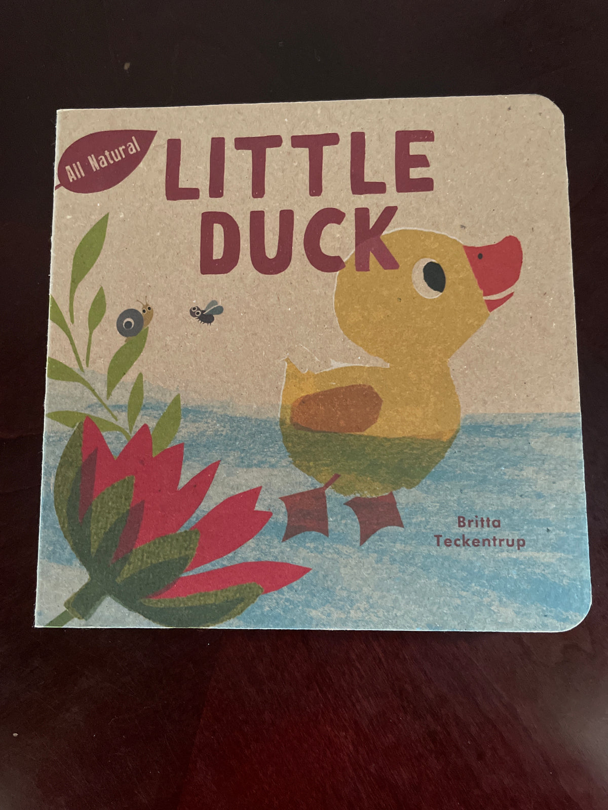 Little Duck (All Natural) - Teckentrup, Britta