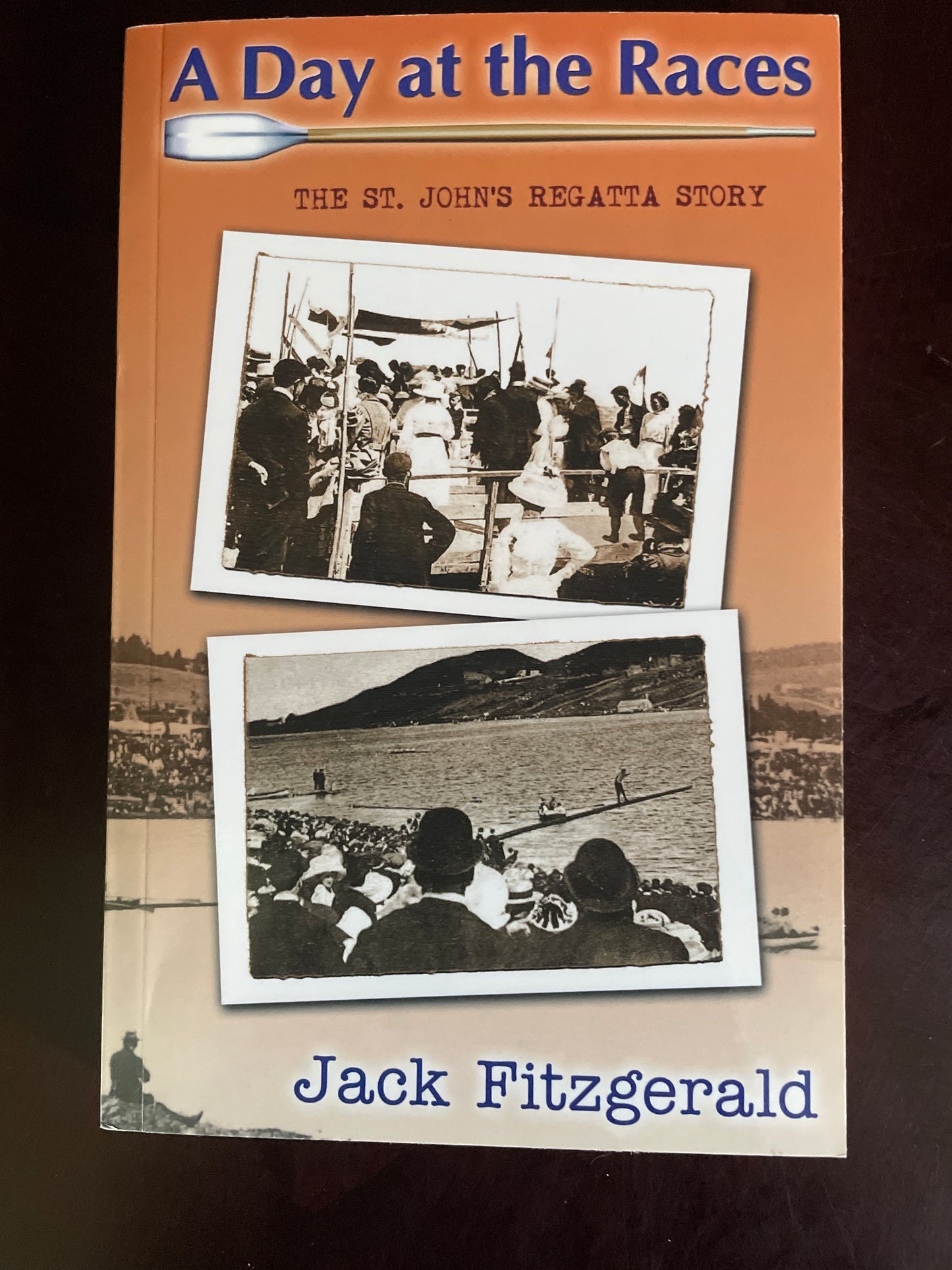 A Day at the Races: Mysteries of the Royal St John's Regatta - Fitzgerald, Jack