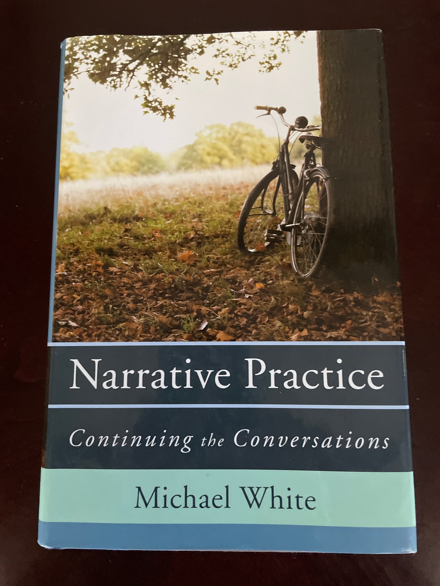 Narrative Practice: Continuing the Conversations - White, Michael