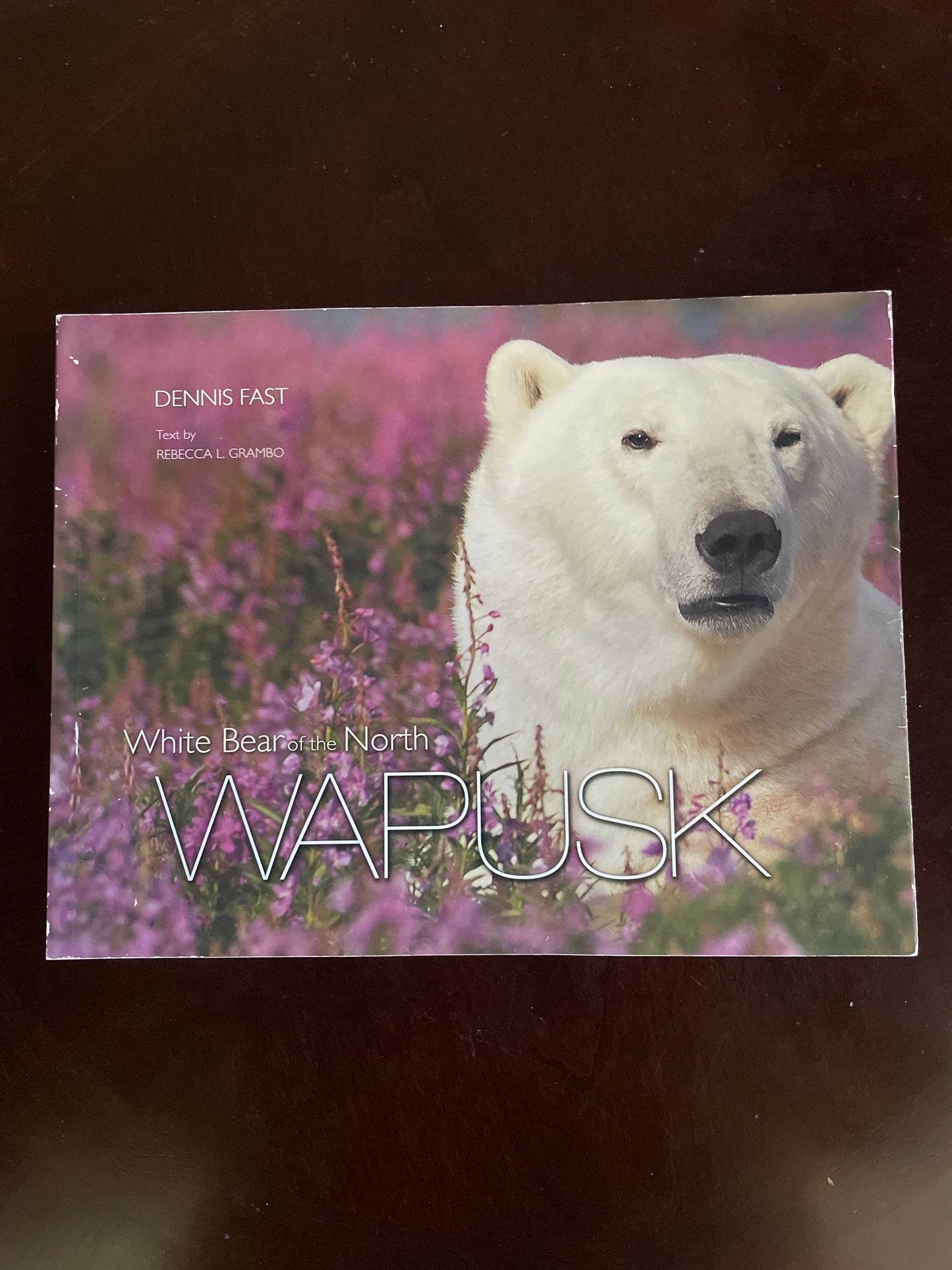 Wapusk: White Bear of the North (Signed) - Fast, Dennis; Grambo, Rebecca L.