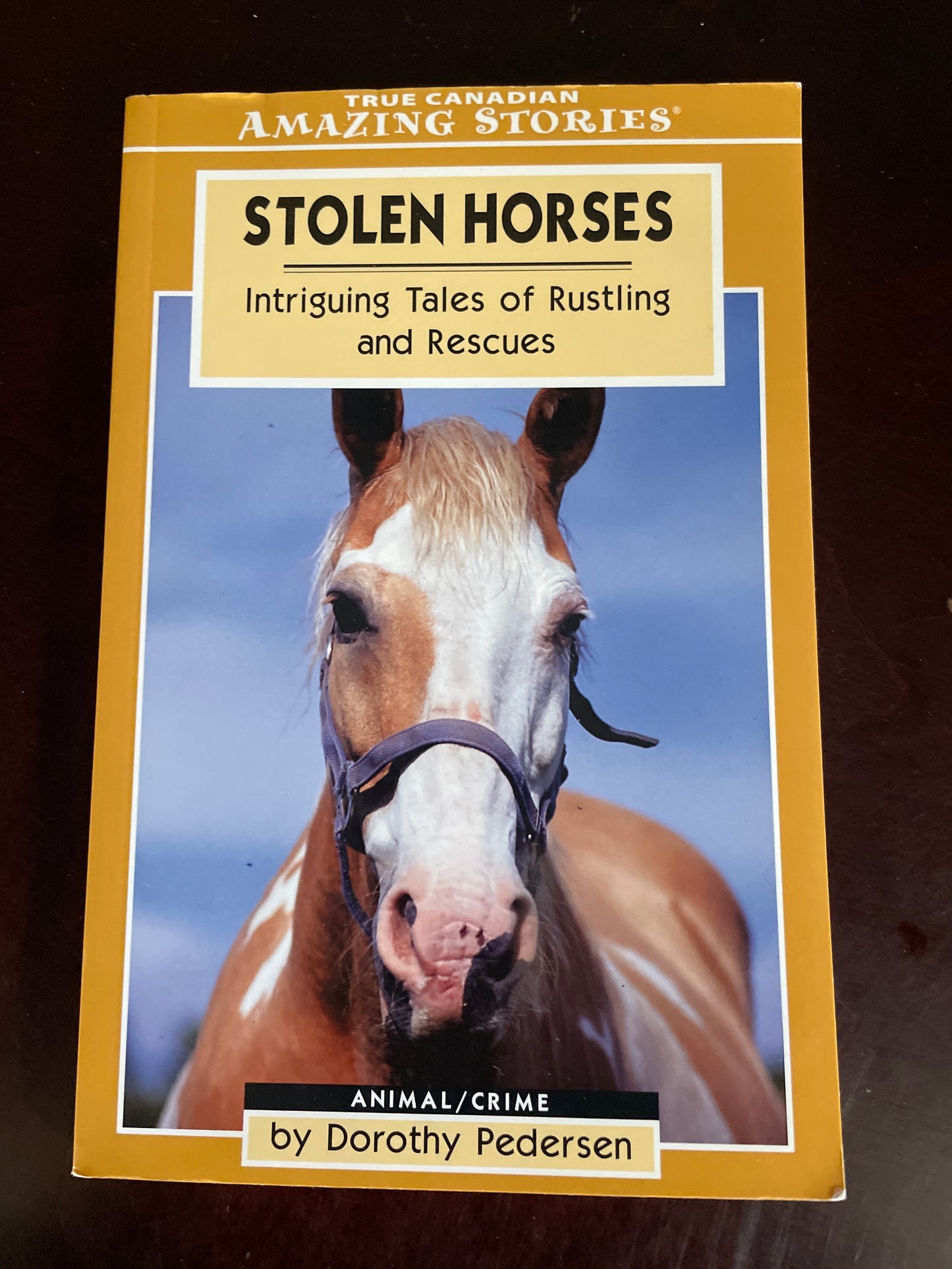 Stolen Horses: Intriguing Tales of Rustling and Rescues - Pedersen, Dorothy