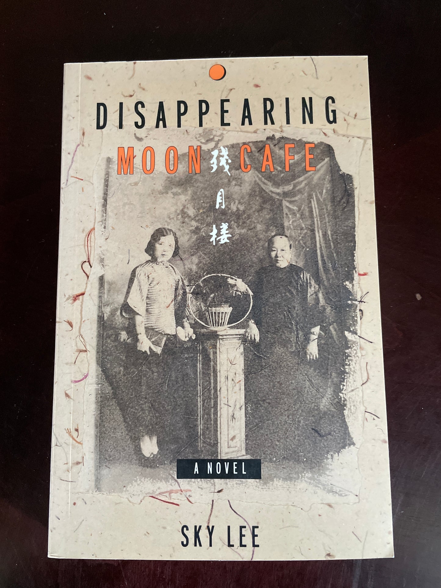 Disappearing Moon Cafe - Lee, Sky