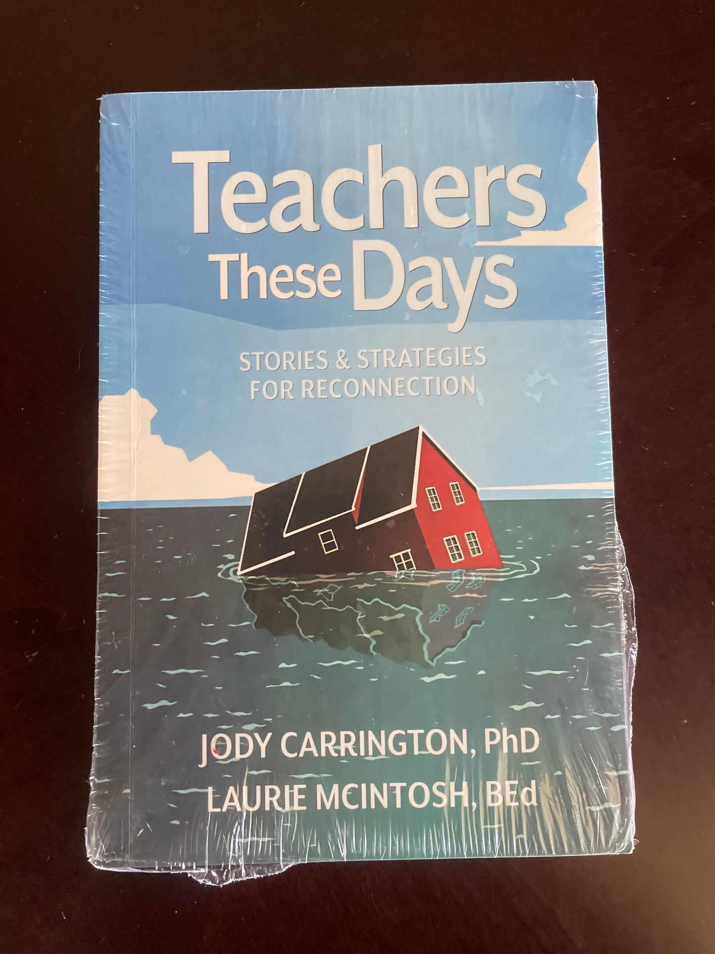 Teachers These Days: Stories and Strategies for Reconnection - Carrington, Dr. Jody; McIntosh, Laurie