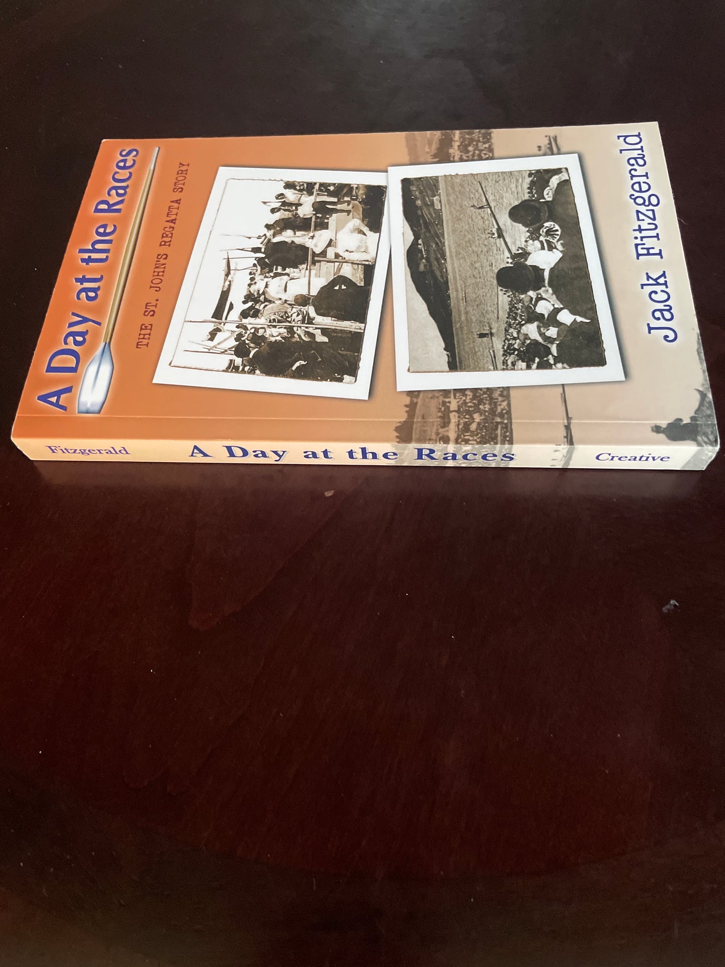 A Day at the Races: Mysteries of the Royal St John's Regatta - Fitzgerald, Jack