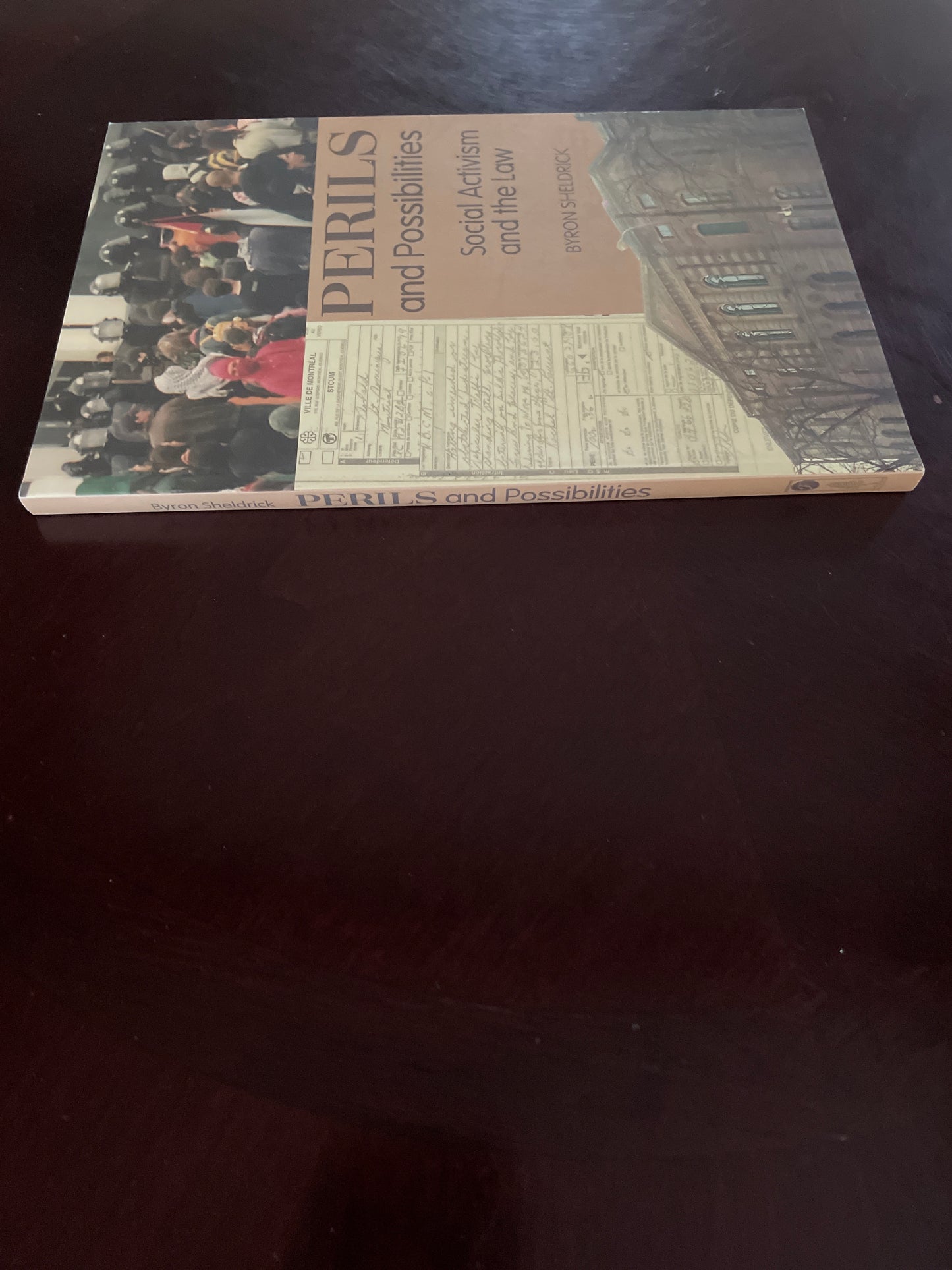 Perils and Possibilities: Social Activism and the Law - Sheldrick, Byron