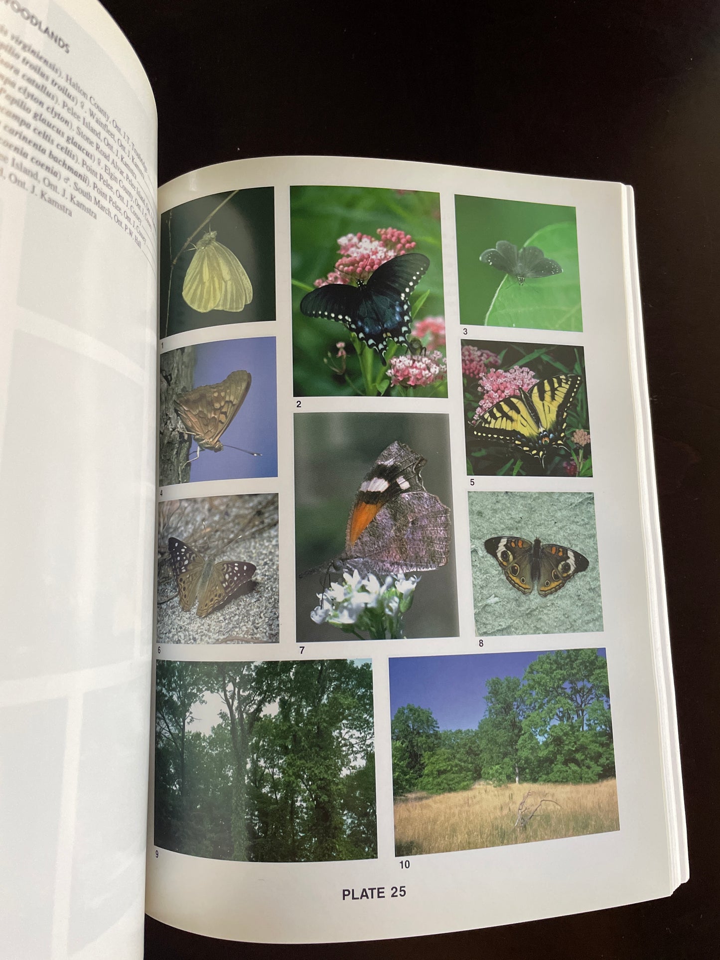 The Butterflies of Canada - Layberry, Ross; Hall, Peter; Lafontaine, Don