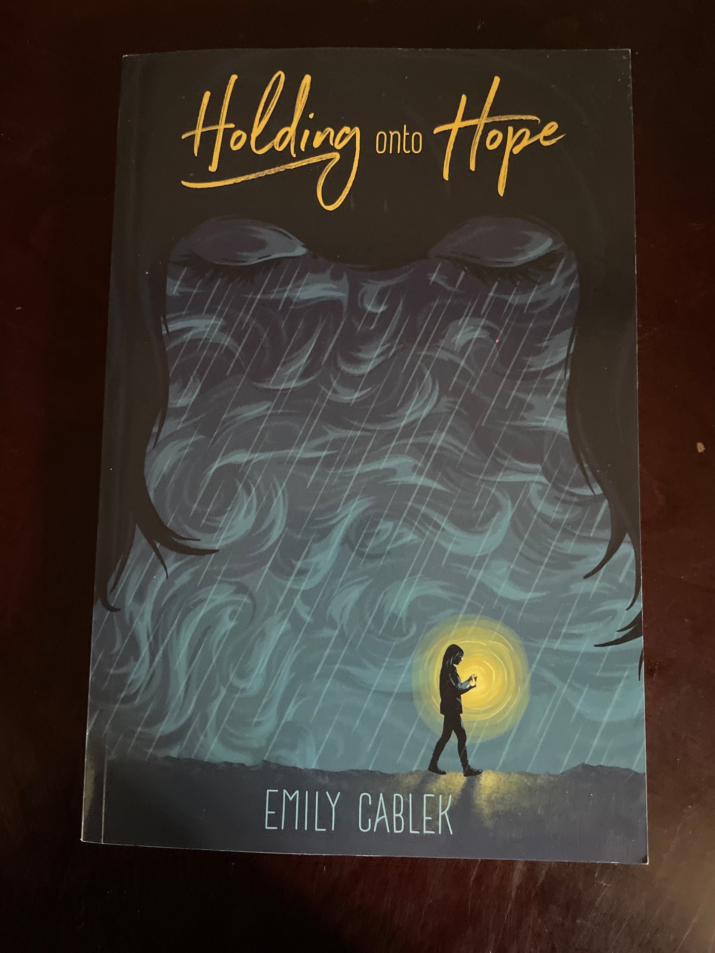 Holding onto Hope: My Journey through Hell and Back (Signed) Cablek, Emily