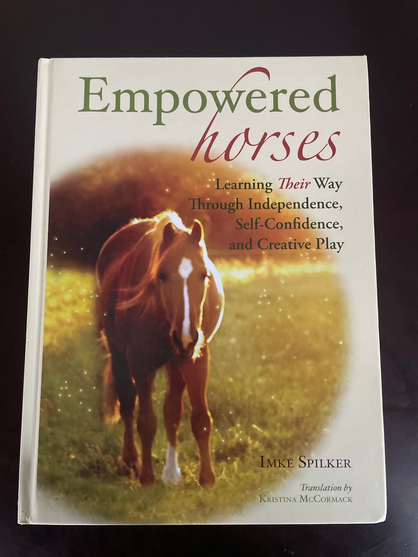 Empowered Horses: Learning Their Way Through Independence, Self-Confidence, and Creative Play - Spilker, Imke