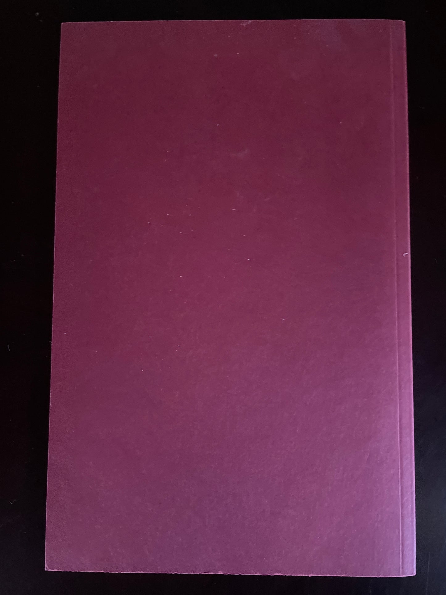 Prosodies of Meaning: Literary Form in Native North America - Bringhurst, Robert