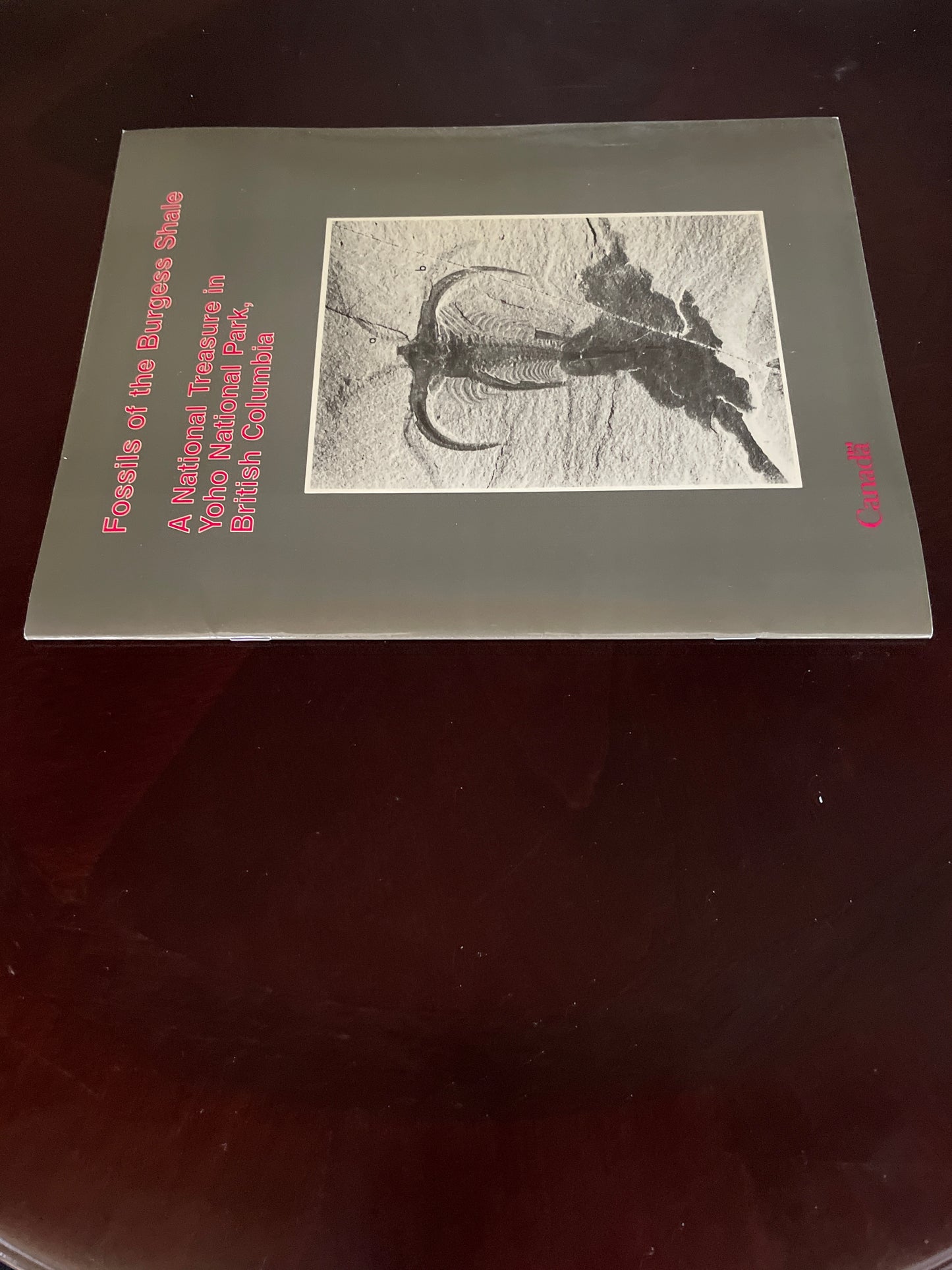 Fossils of the Burgess Shale: A national treasure in Yoho National Park, British Columbia (Geological Survey of Canada) - Morris, S. Conway; Whittington, H.B.