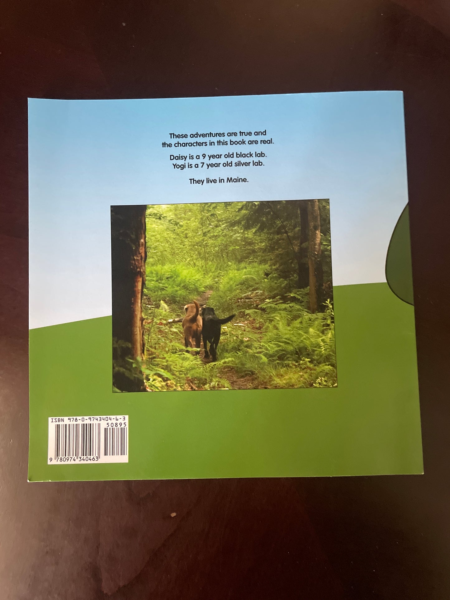 The Adventures of Daisy & Yogi (SIGNED) - Caroleo, Linn