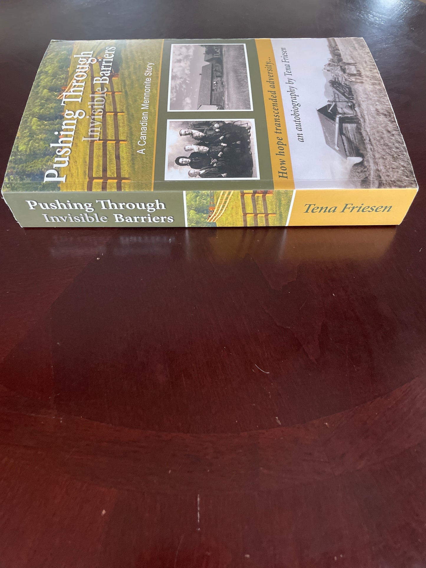 Pushing Through Invisible Barriers: A Canadian Mennonite Story. How Hope Transcended Adversity - Friesen, Tena