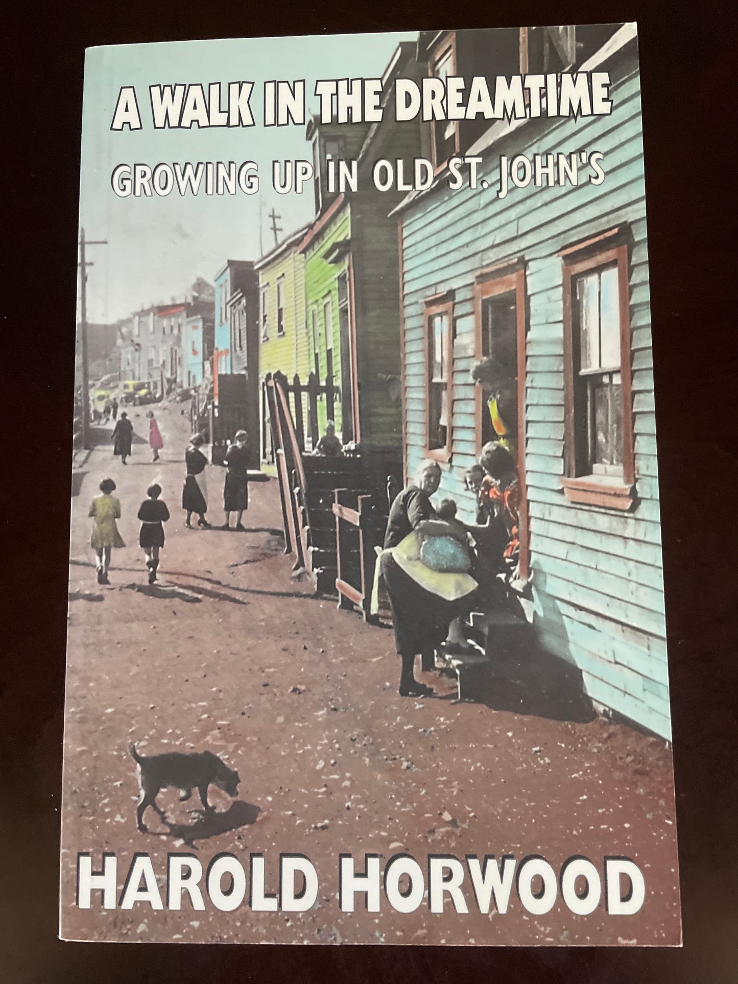 A Walk in the Dreamtime: Growing Up in Old St John's - Horwood, Harold