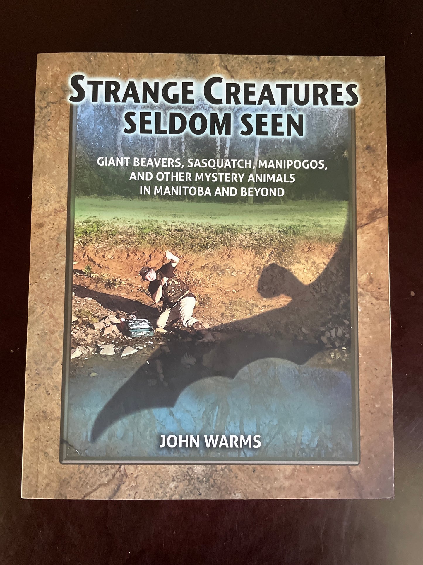Strange Creatures Seldom Seen: Giant Beavers, Sasquatch, Manipogos, and Other Mystery Animals in Manitoba and Beyond Warms, John
