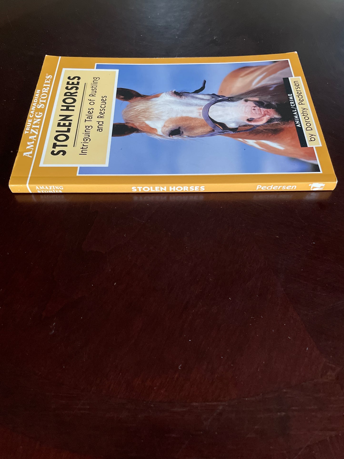 Stolen Horses: Intriguing Tales of Rustling and Rescues - Pedersen, Dorothy
