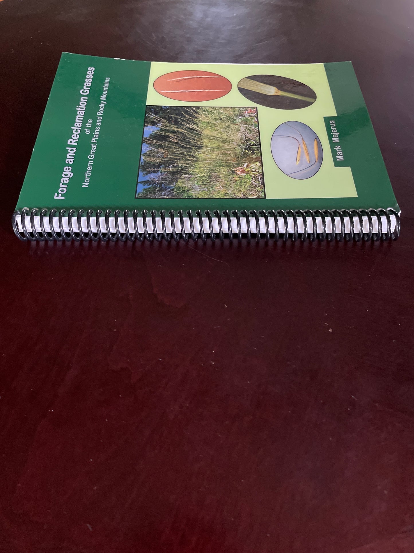 Forage and Reclamation Grasses of the Northern Great Plains and Rocky Mountains (Signed) - Majerus, Mark