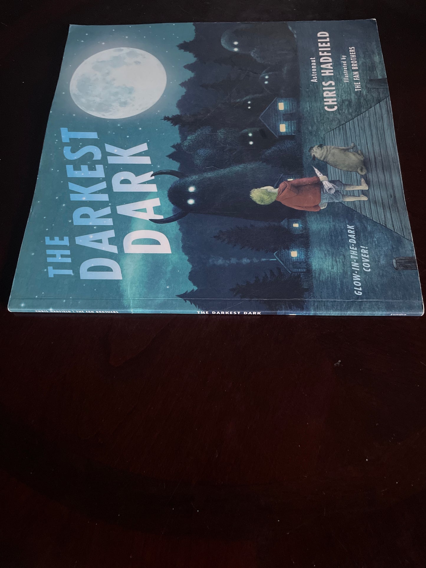 The Darkest Dark: Glow-in-the-Dark Cover Edition - Hadfield, Chris